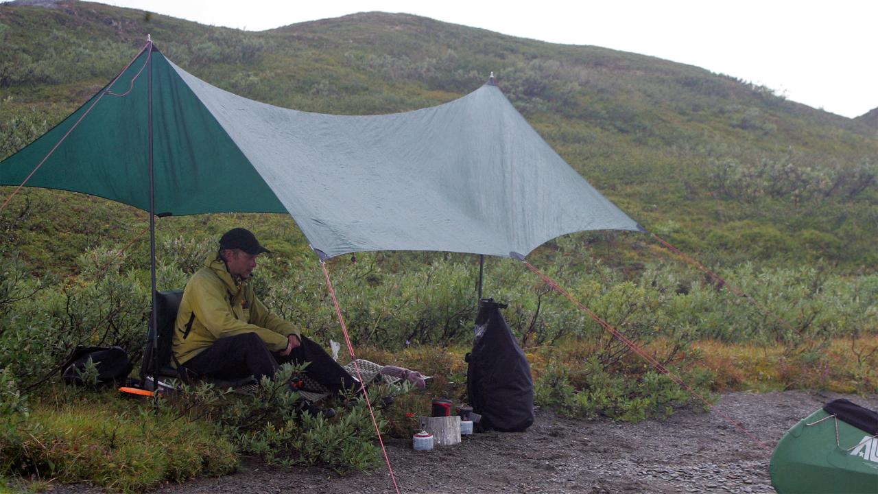 Tarp