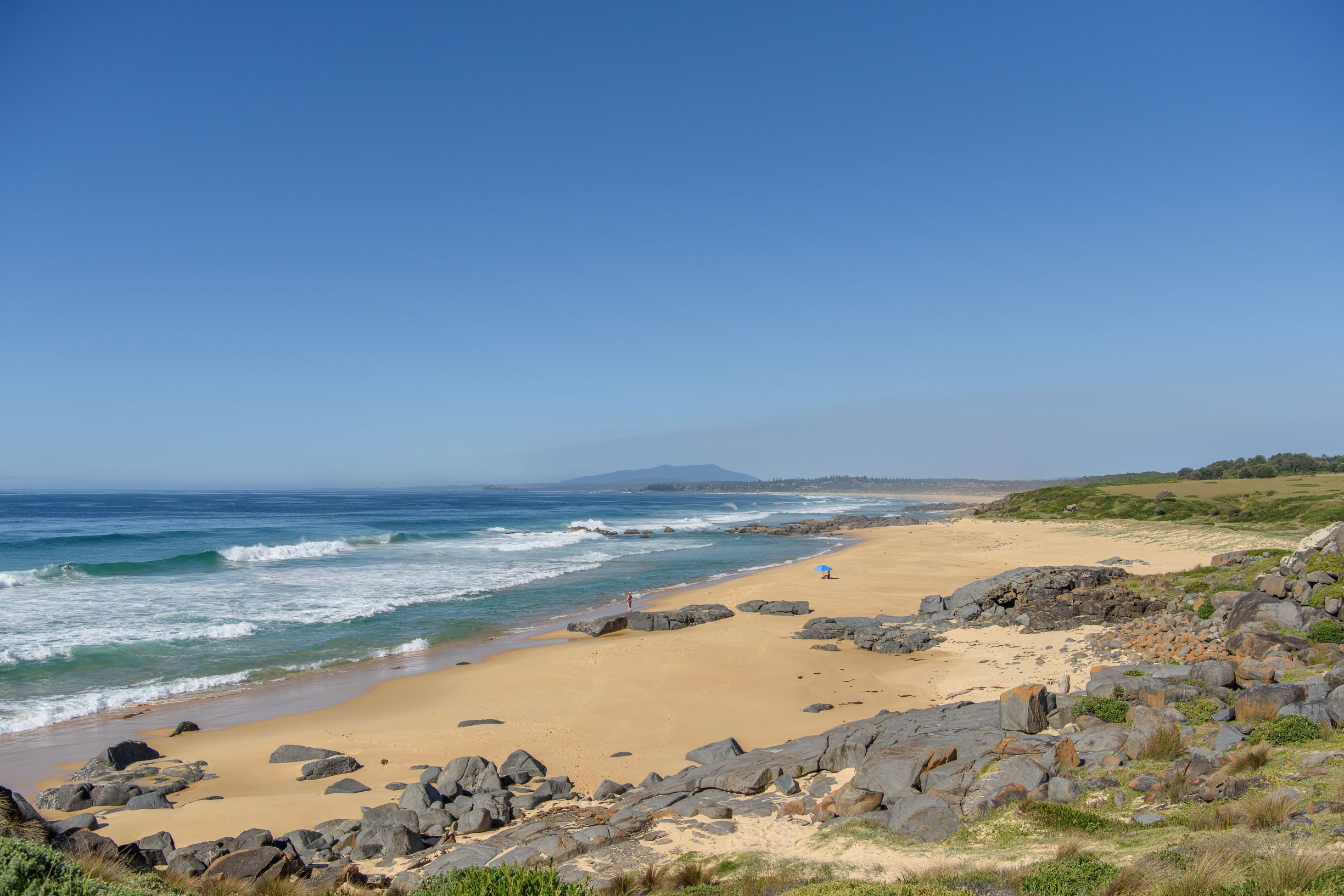 WELCOME TO COUNTRY - BUSH TUCKER & BUSH MEDICINE CULTURAL WALK WITH YUIN KNOWLEDGE HOLDER  FOLLOWED BY LUNCH AT THE PICKLED OCTOPUS RESTAURANT TUROSS HEAD