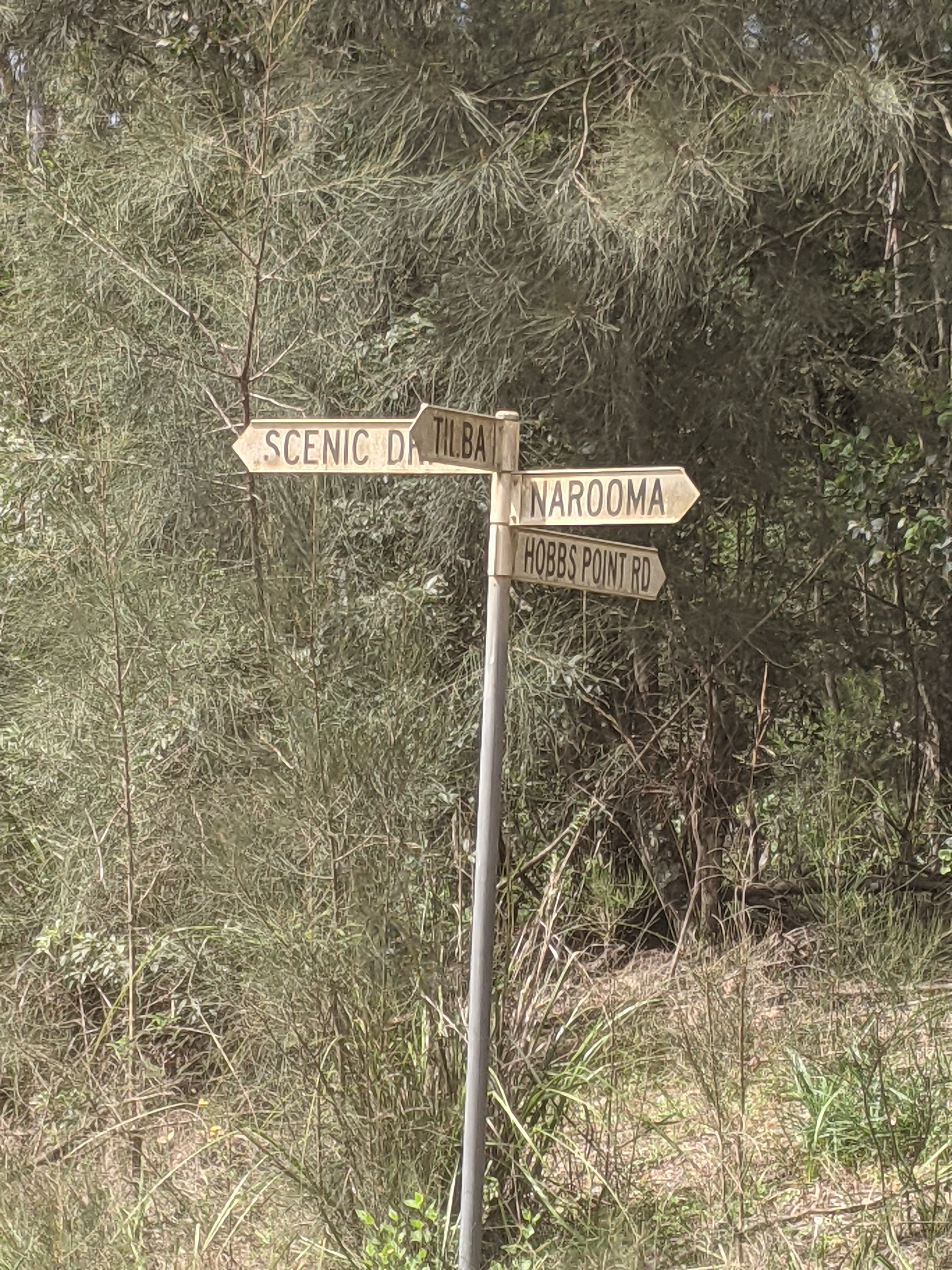 SELF GUIDED E-BIKE TOUR - PEDAL TO PRODUCE SERIES - WAGONGA WILDERNESS TRAIL - 4 Hour E-Bike Hire with local produce picnic