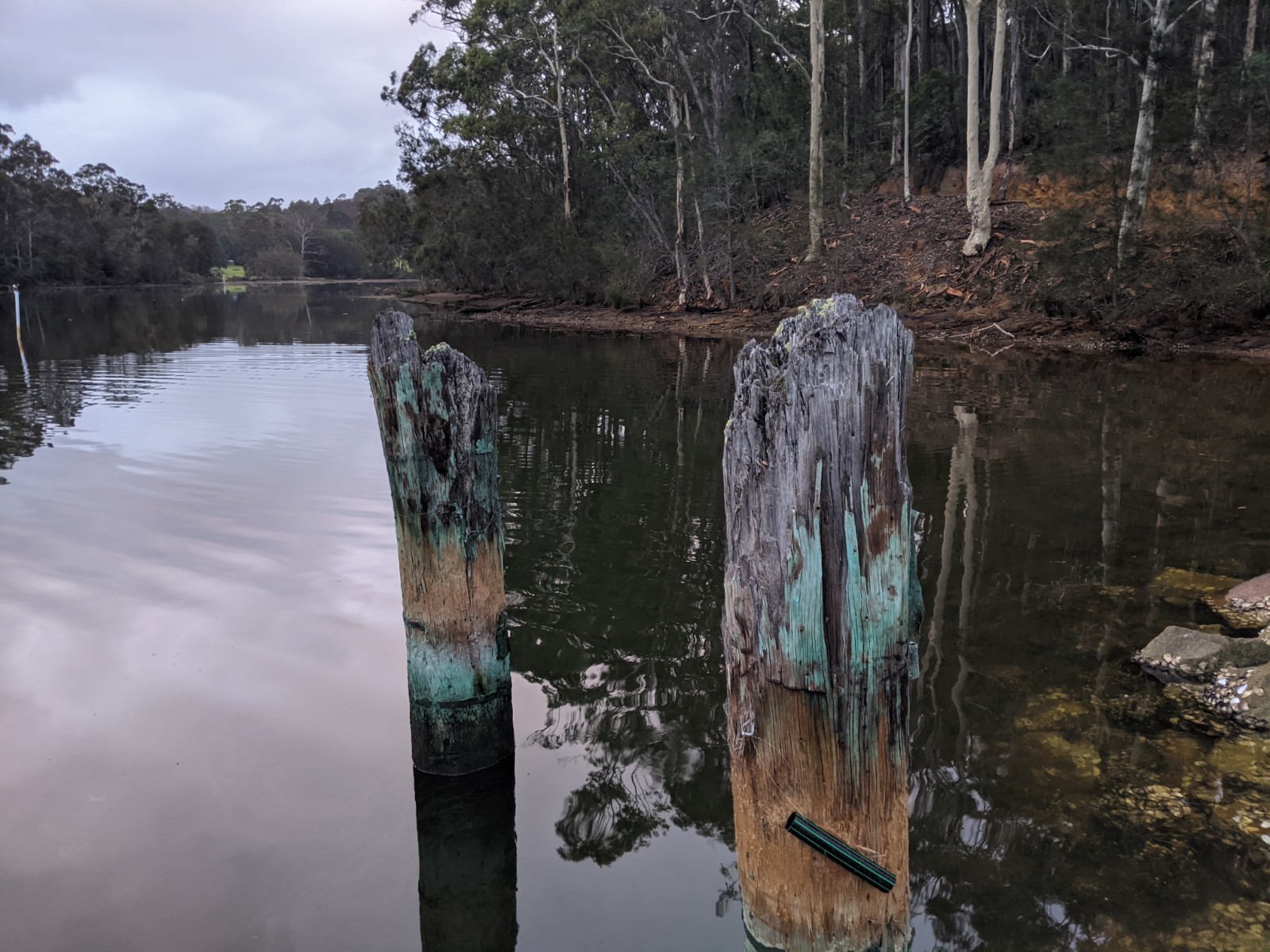 SELF GUIDED E-BIKE TOUR - PEDAL TO PRODUCE SERIES - WAGONGA WILDERNESS TRAIL - 4 Hour E-Bike Hire with local produce picnic