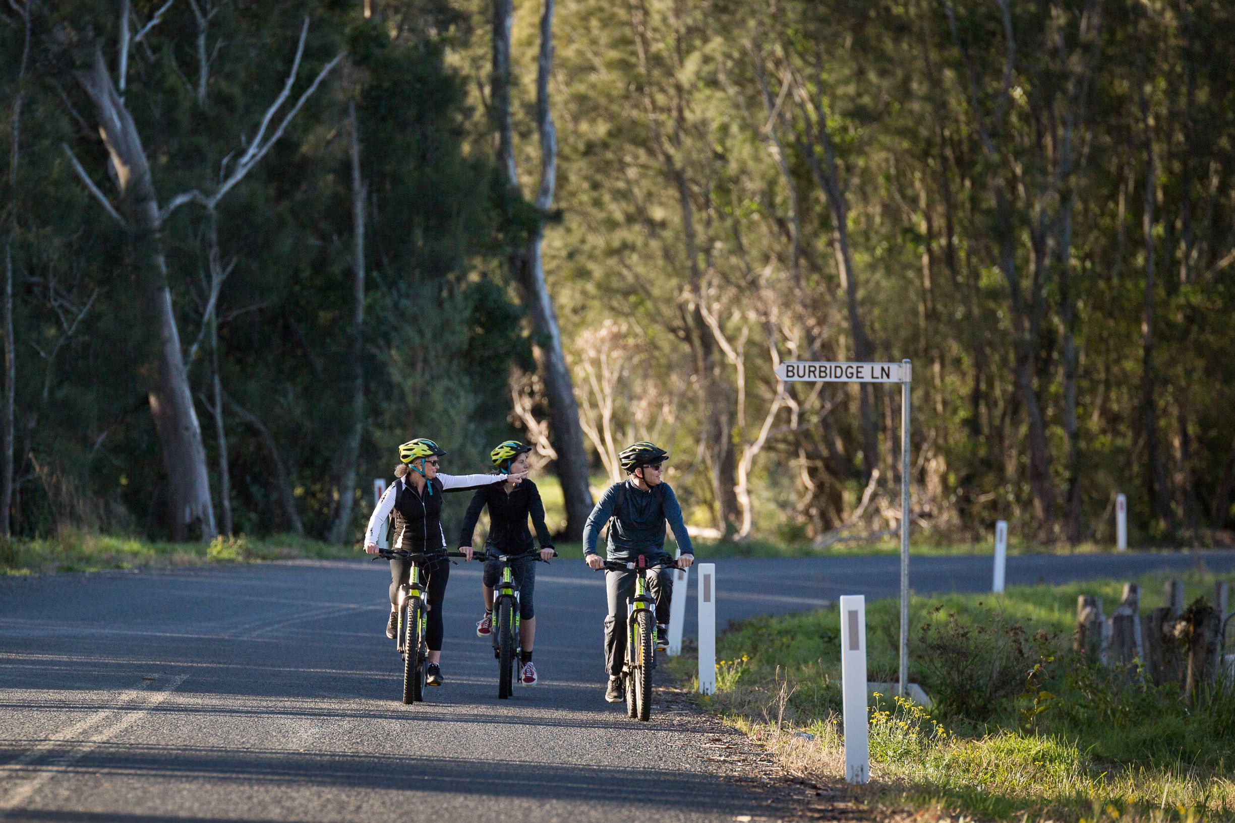 SELF GUIDED E-BIKE TOUR - PEDAL TO PRODUCE SERIES - NAROOMA TO TILBA VALLEY WINERY & ALE HOUSE VIA OLD HIGHWAY-  2 Hour E-Bike Hire with return transfers