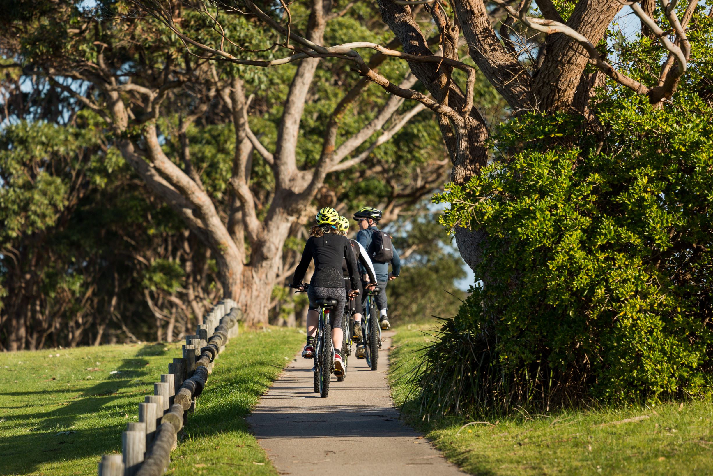 SELF GUIDED E-BIKE TOUR - PEDAL TO PRODUCE SERIES - NAROOMA TO TILBA VALLEY WINERY & ALE HOUSE VIA OLD HIGHWAY-  2 Hour E-Bike Hire with return transfers