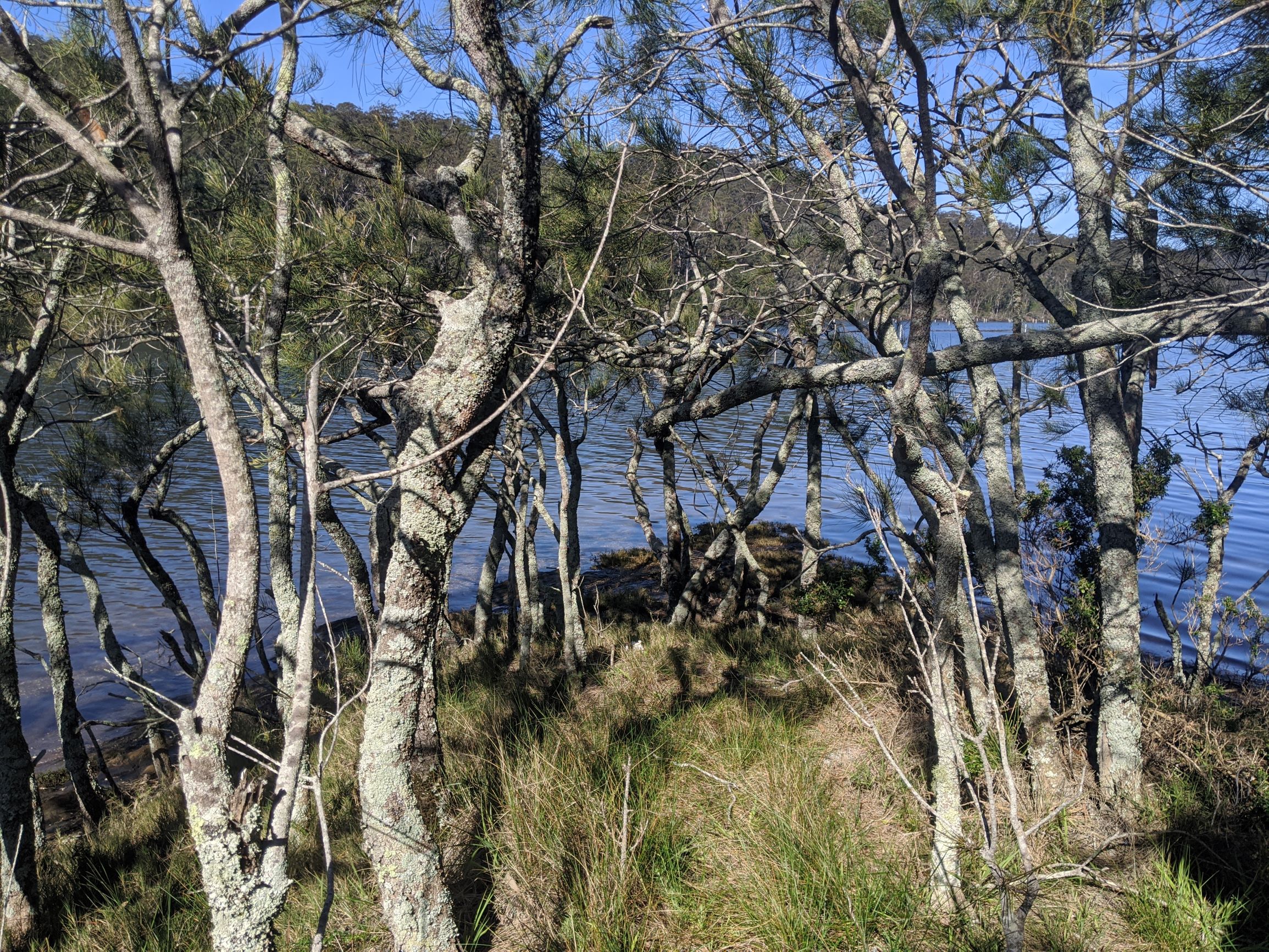 SELF GUIDED E-BIKE TOUR - PEDAL TO PRODUCE SERIES - WAGONGA WILDERNESS TRAIL - 4 Hour E-Bike Hire with local produce picnic