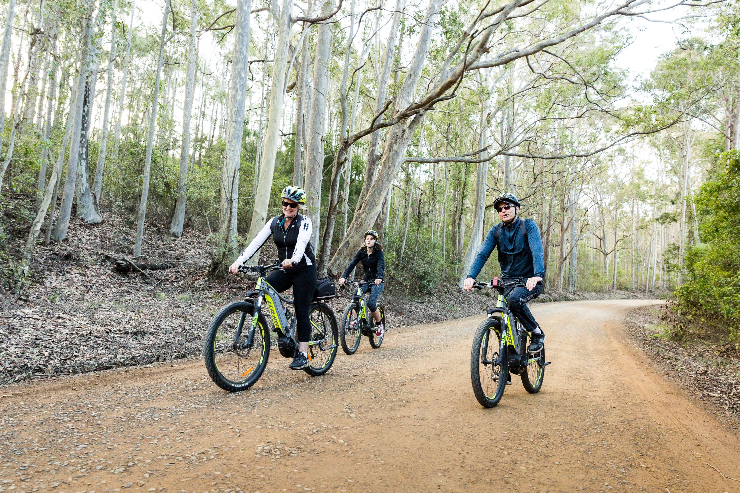 SELF GUIDED E-BIKE TOUR - PEDAL TO PRODUCE SERIES - NAROOMA TO TILBA VALLEY WINERY & ALE HOUSE VIA OLD HIGHWAY-  2 Hour E-Bike Hire with return transfers