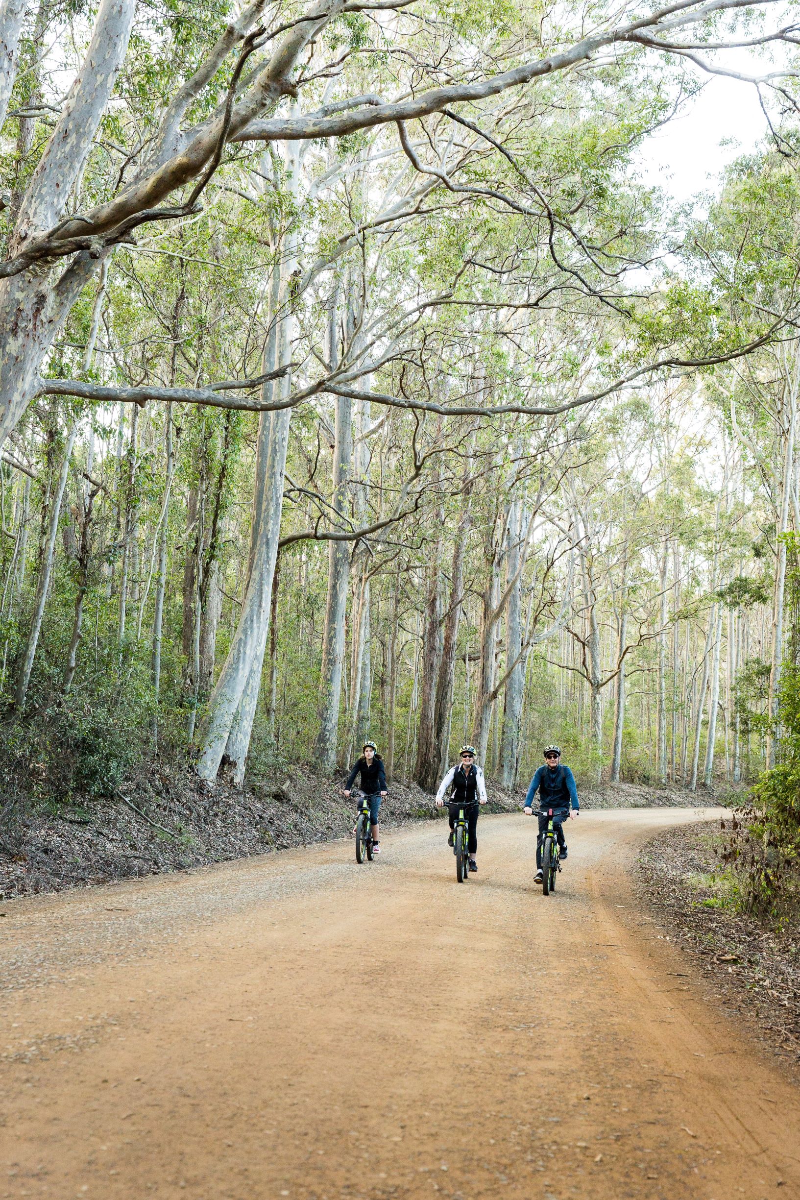 SELF GUIDED E-BIKE TOUR - PEDAL TO PRODUCE SERIES - NAROOMA TO TILBA VALLEY WINERY & ALE HOUSE VIA OLD HIGHWAY-  2 Hour E-Bike Hire with return transfers