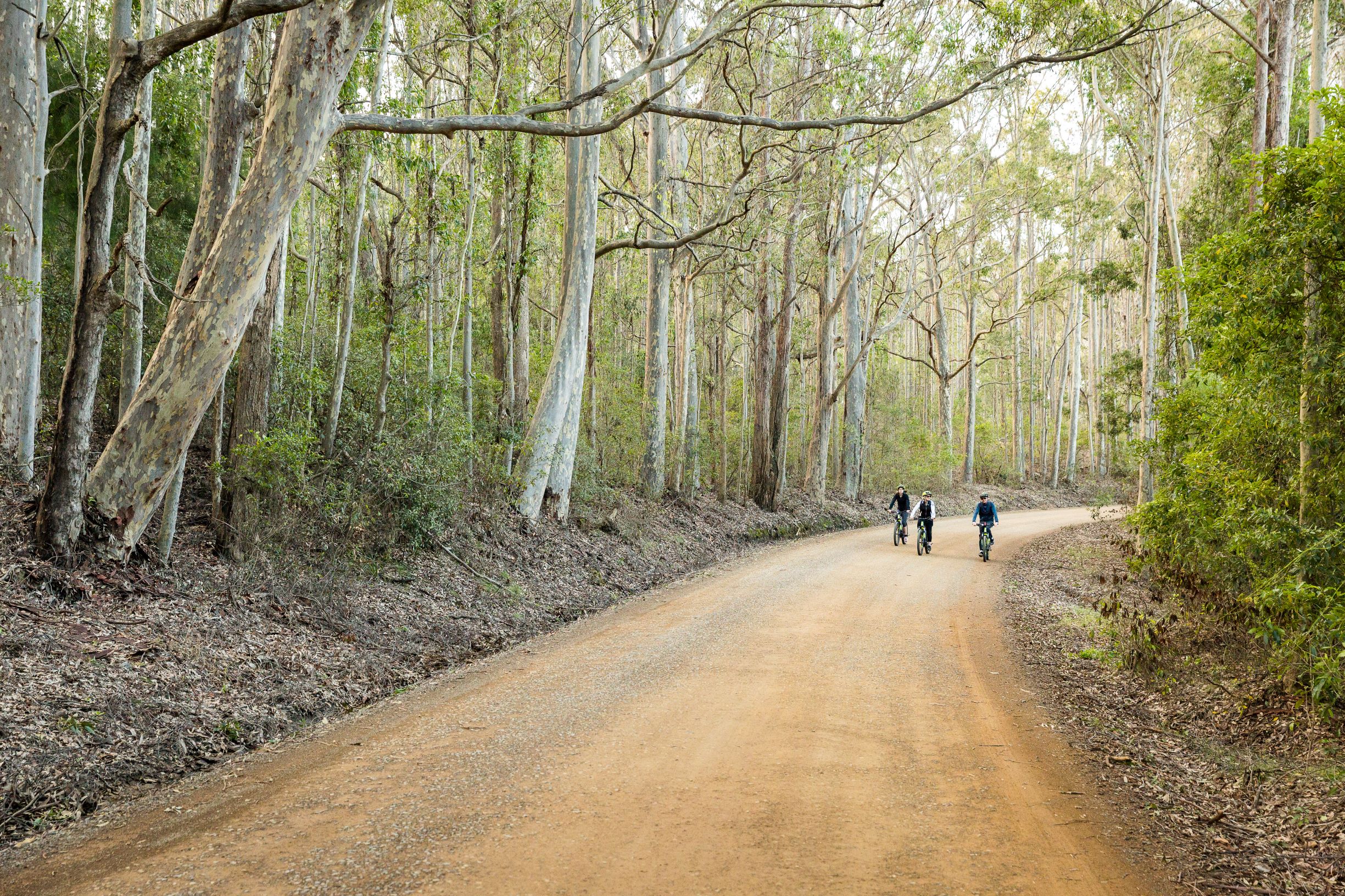 SELF GUIDED E-BIKE TOUR - PEDAL TO PRODUCE SERIES - NAROOMA TO TILBA VALLEY WINERY & ALE HOUSE VIA OLD HIGHWAY-  2 Hour E-Bike Hire with return transfers