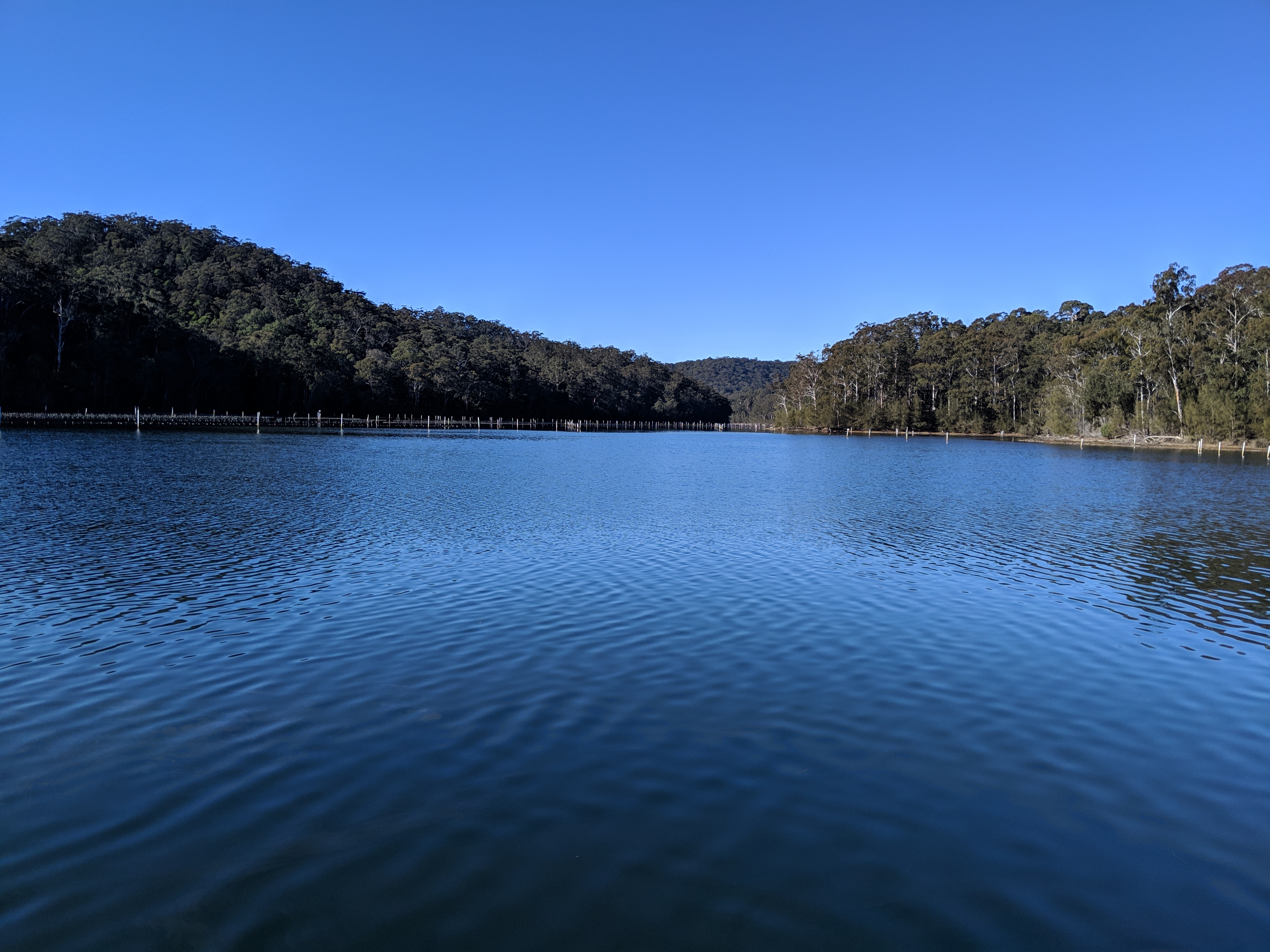 SELF GUIDED E-BIKE TOUR - PEDAL TO PRODUCE SERIES - WAGONGA WILDERNESS TRAIL - 4 Hour E-Bike Hire with local produce picnic