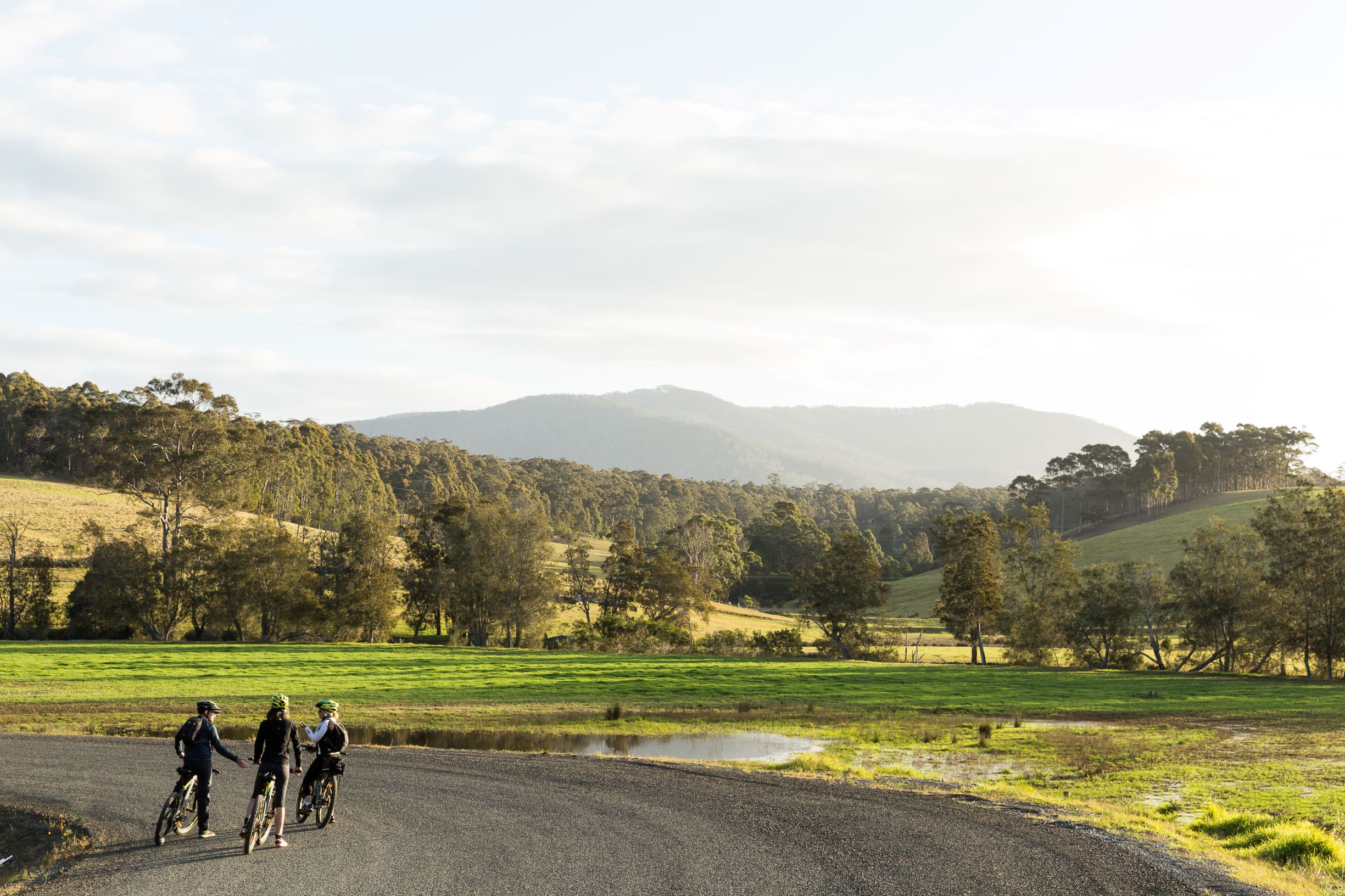 SELF GUIDED E-BIKE TOUR - PEDAL TO PRODUCE SERIES - NAROOMA TO TILBA VALLEY WINERY & ALE HOUSE VIA OLD HIGHWAY-  2 Hour E-Bike Hire with return transfers