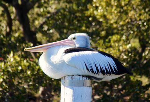 3_Day_Narooma_12