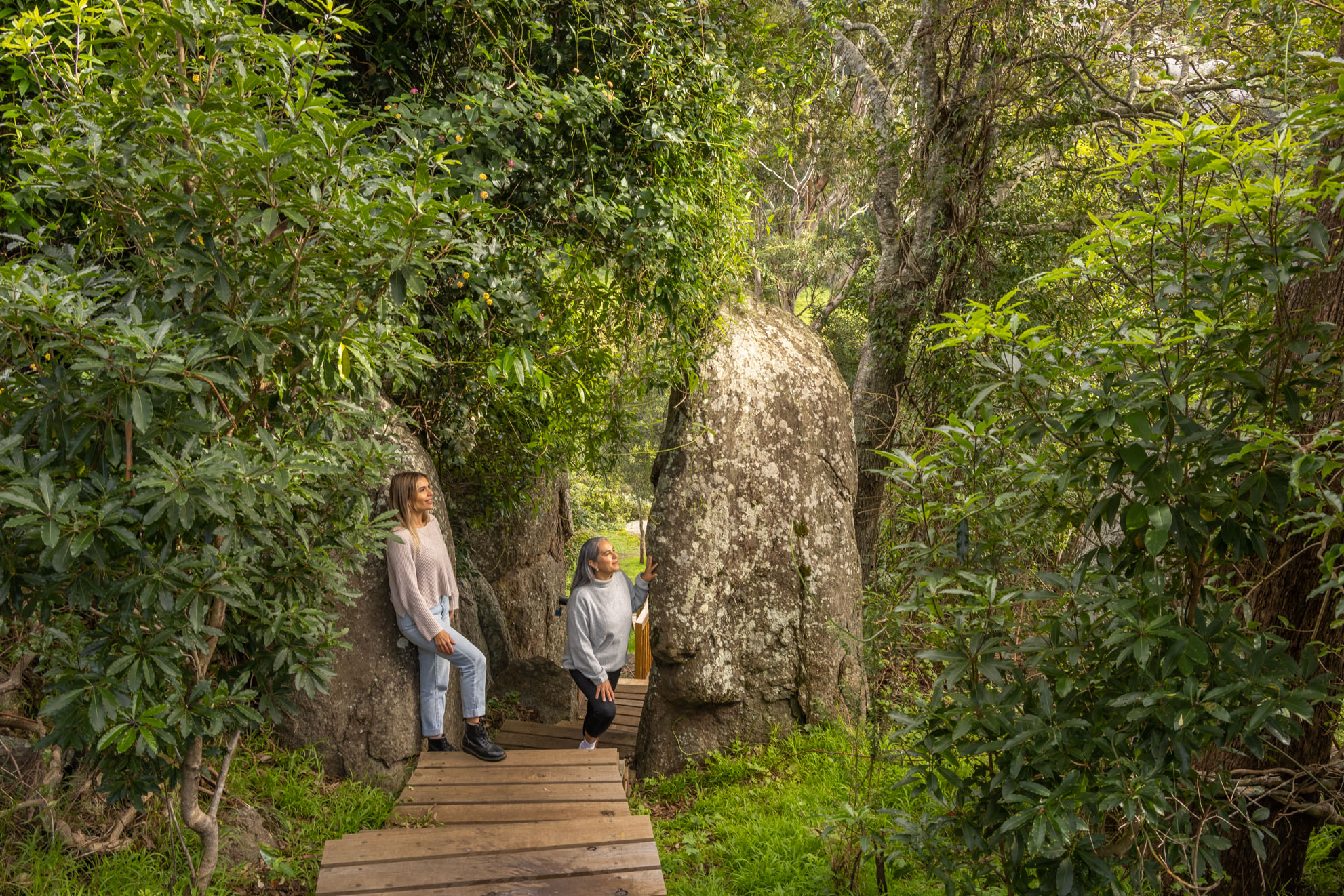 SELF GUIDED E-BIKE TOUR - PEDAL TO PRODUCE SERIES - NAROOMA TO DROMEDARY HOTE or SWEETWATER RESTAURANT, TILBA - E-Bike Hire with return transfers