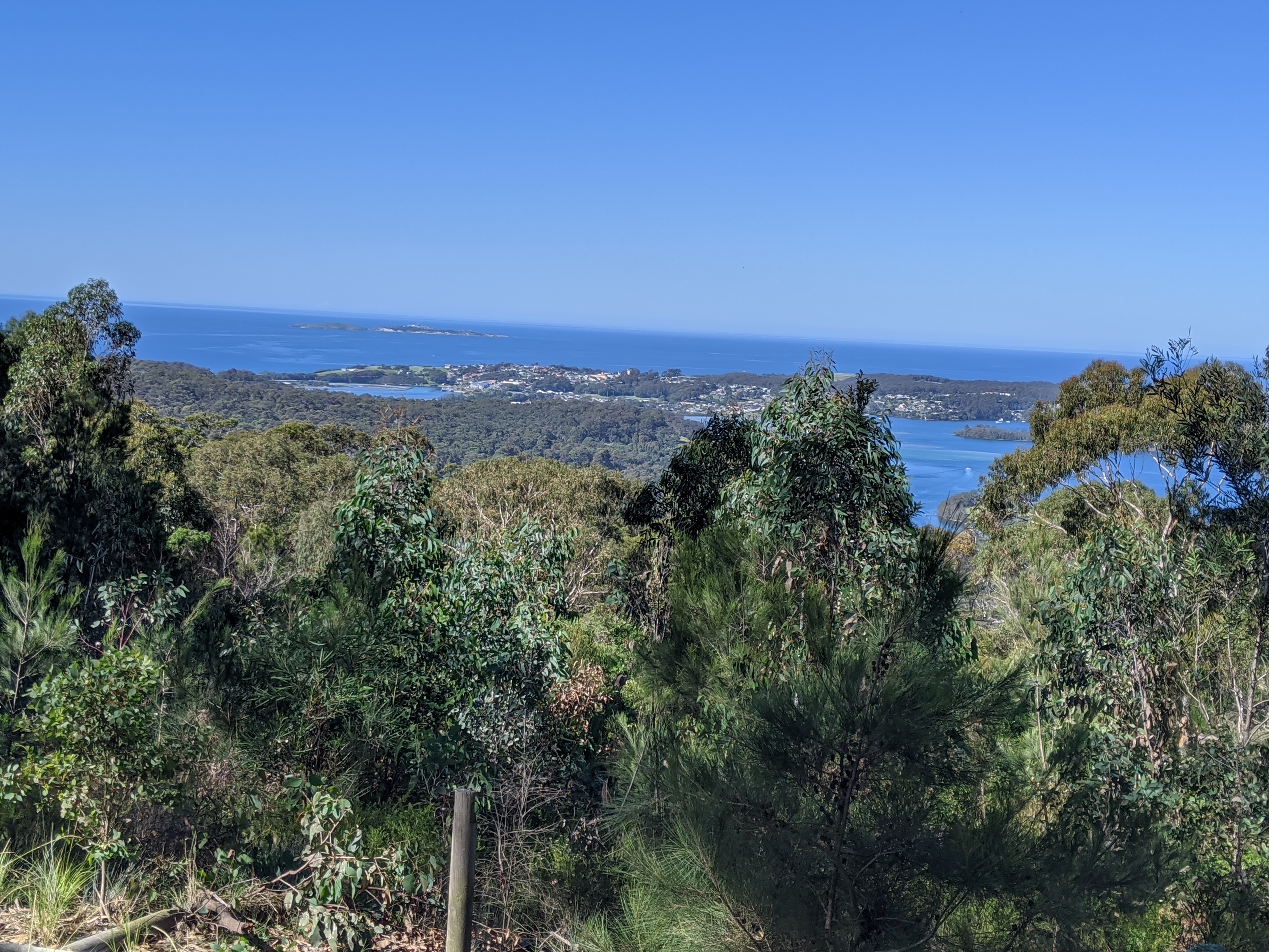SELF GUIDED E-BIKE TOUR - PEDAL TO PRODUCE SERIES - WAGONGA WILDERNESS TRAIL - 4 Hour E-Bike Hire with local produce picnic