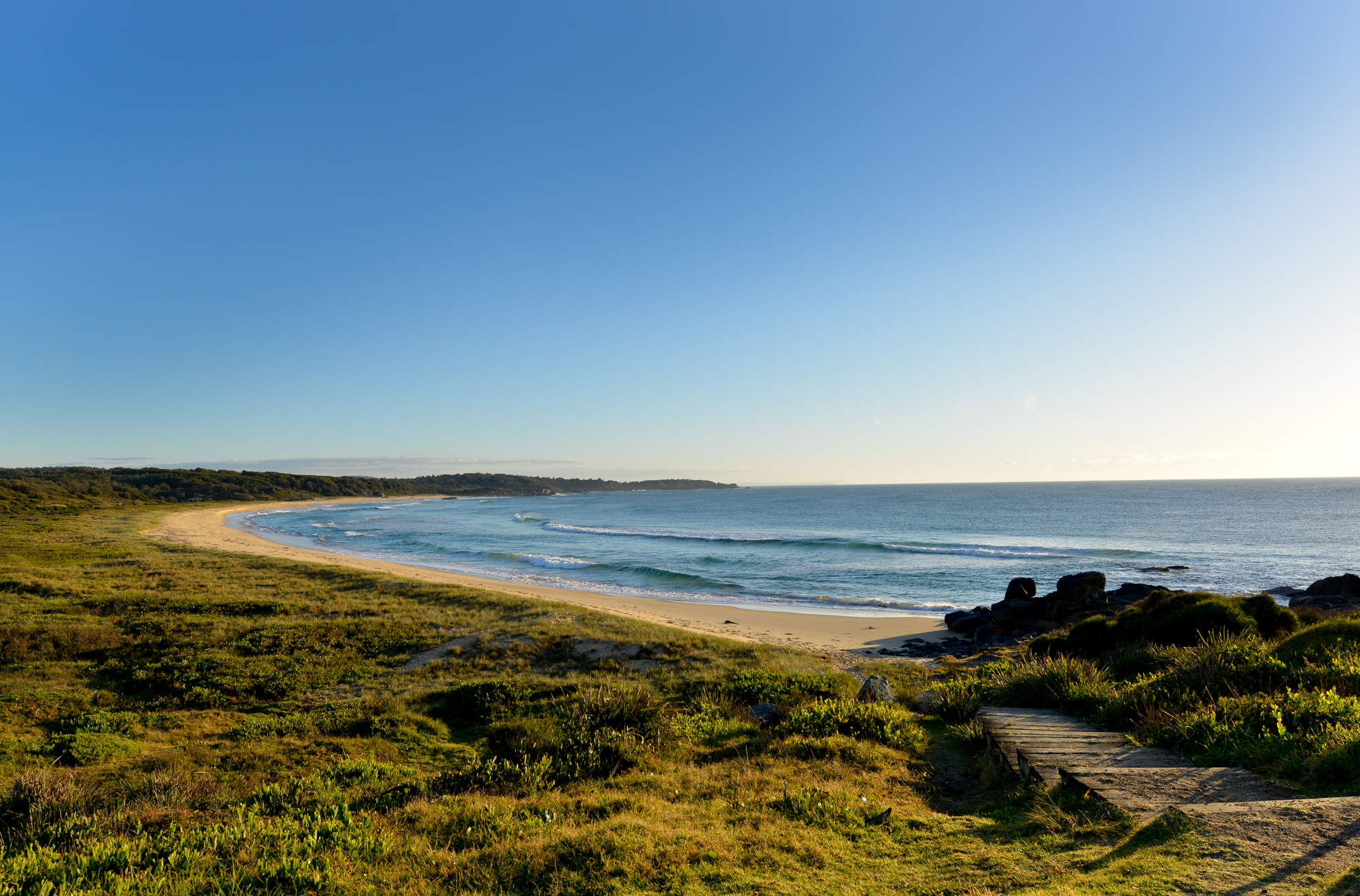 WELCOME TO COUNTRY - BUSH TUCKER & BUSH MEDICINE CULTURAL WALK WITH YUIN KNOWLEDGE HOLDER  FOLLOWED BY LUNCH AT THE PICKLED OCTOPUS RESTAURANT TUROSS HEAD