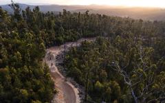 MOGO TRAILS - JUMP LINE SHUTTLE - 2 Hour