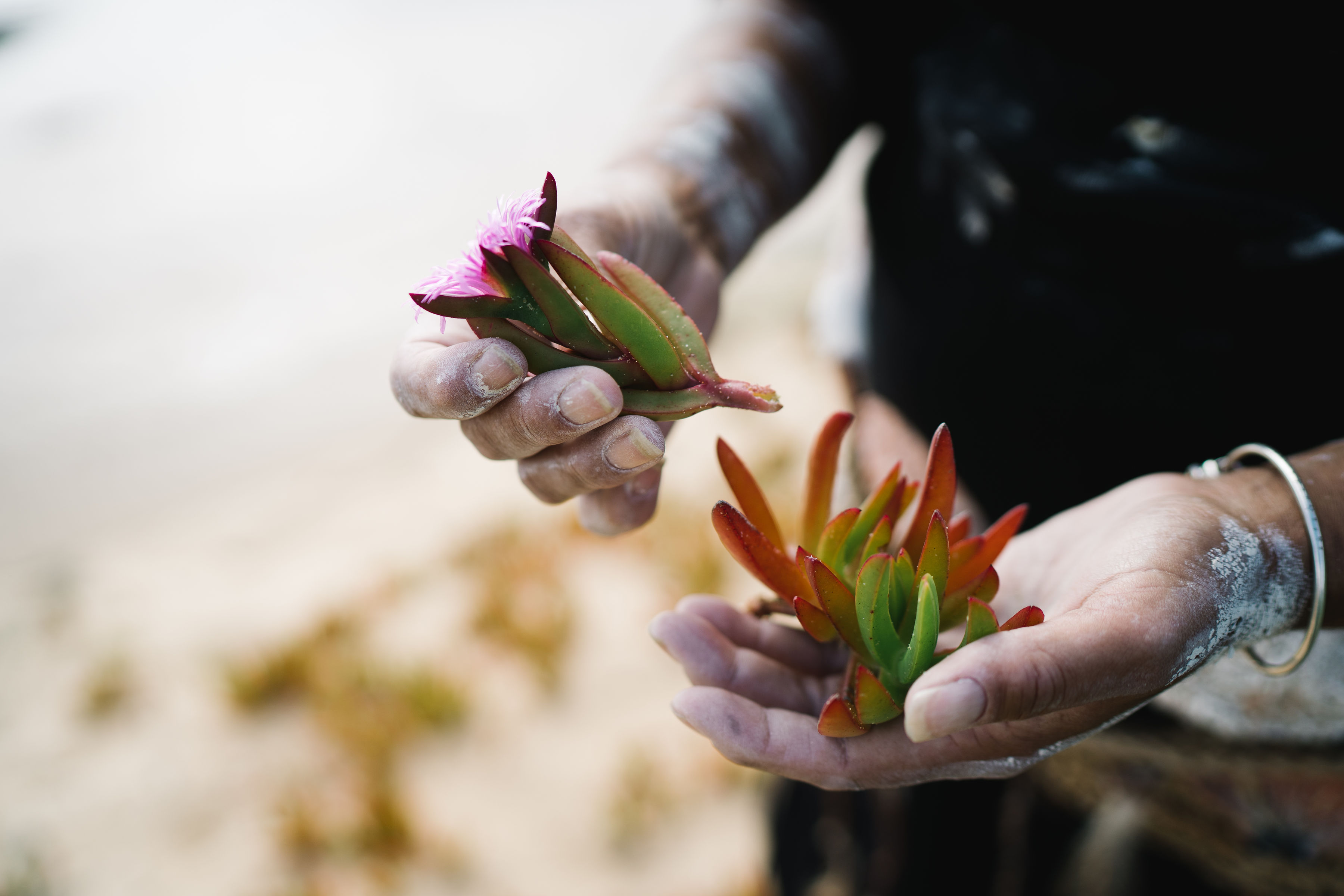 SMALL GROUP TOUR - LOCAL PRODUCE TRAIL -  FULL DAY TOUR