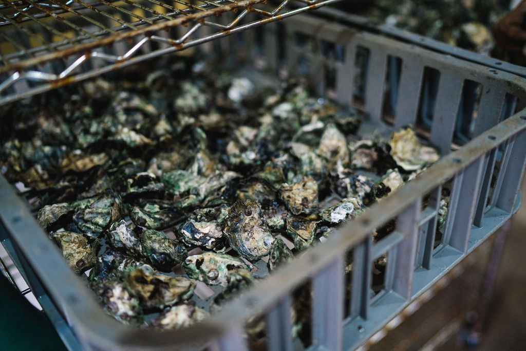 SMALL GROUP TOUR - LOCAL PRODUCE TRAIL -  FULL DAY TOUR