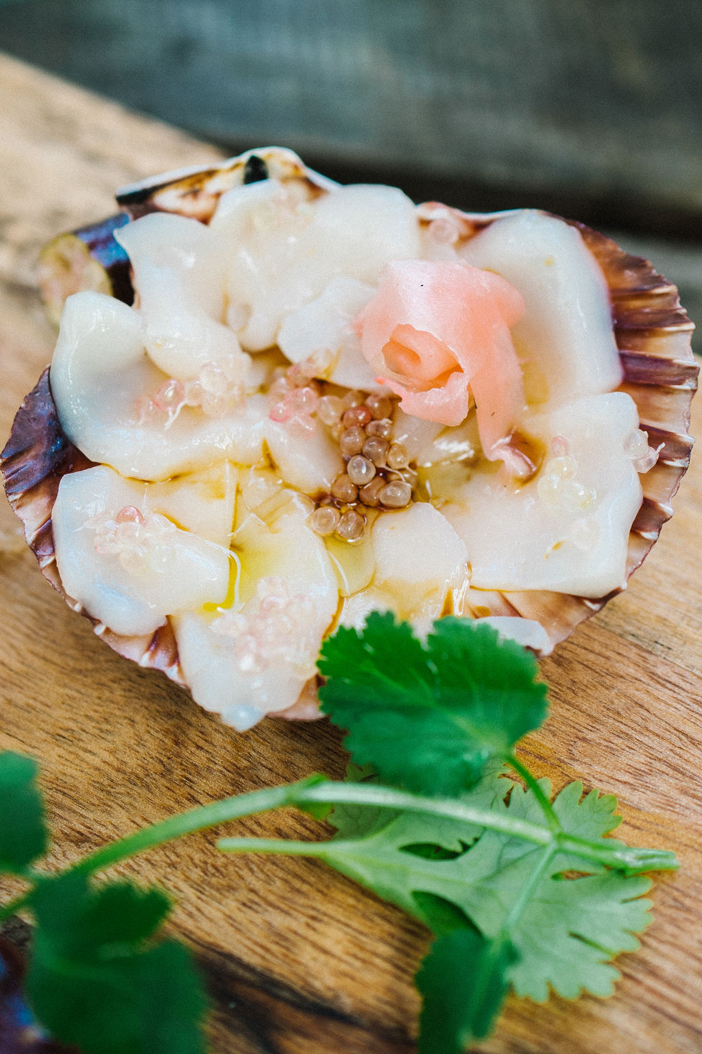 SMALL GROUP TOUR - LOCAL PRODUCE TRAIL -  FULL DAY TOUR