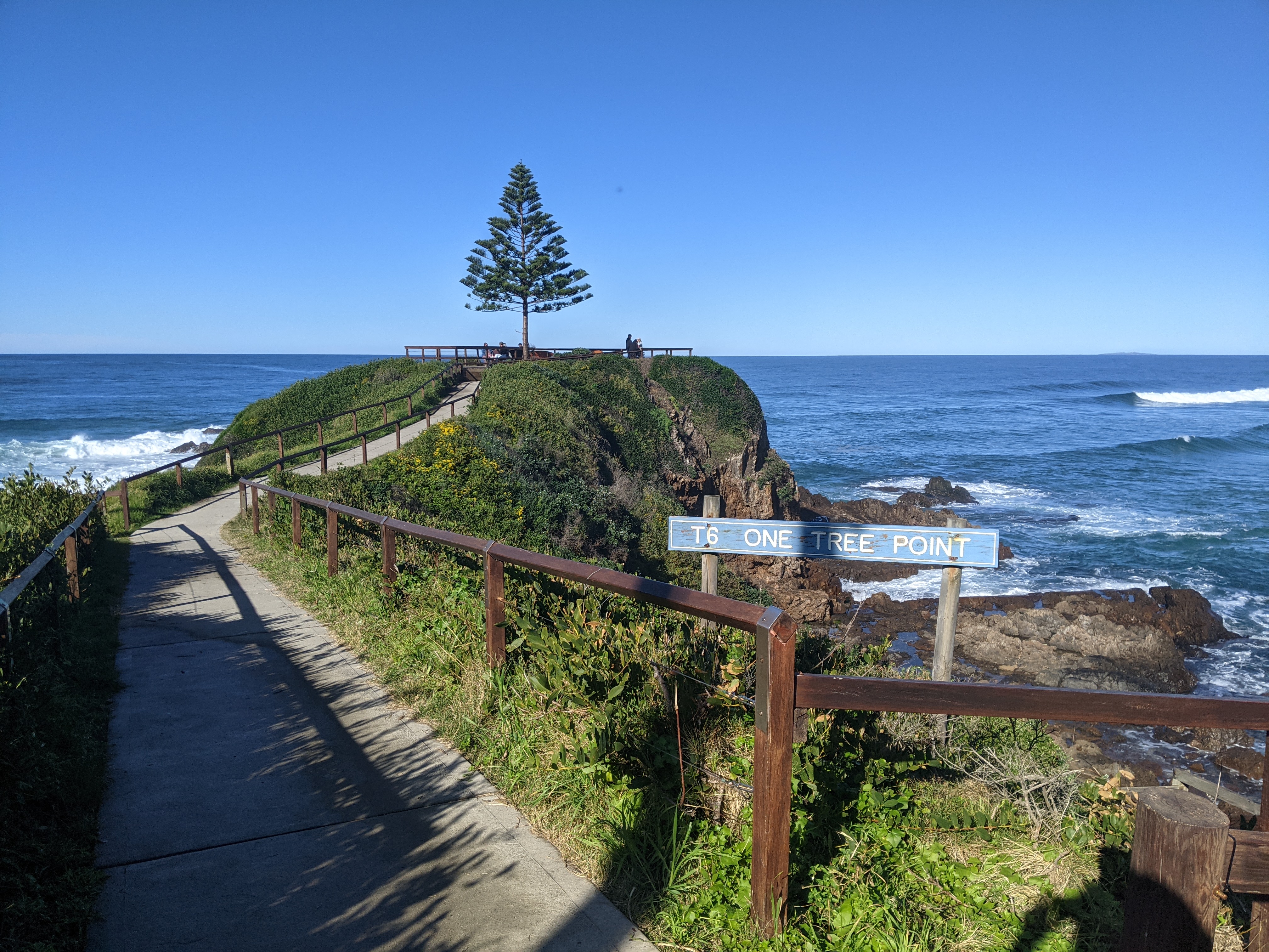 WELCOME TO COUNTRY - TREAD LIGHTLY WALKING TOUR WITH YUIN ELDER & LUNCH AT THE PICKLED OCTOPUS RESTAURANT TUROSS HEAD
