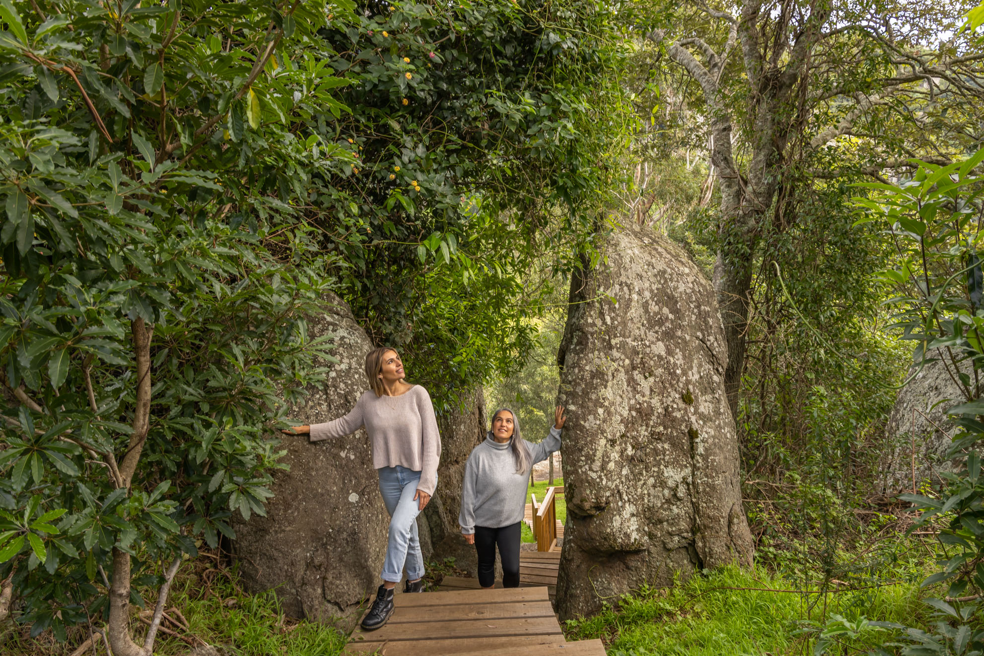 SELF GUIDED E-BIKE TOUR - PEDAL TO PRODUCE SERIES - NAROOMA TO TILBA VALLEY WINERY & ALE HOUSE VIA CENTRAL TILBA AND MYSTERY BAY  with return transfers
