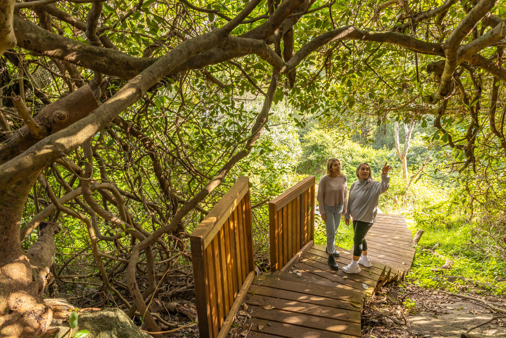SELF GUIDED E-BIKE TOUR - PEDAL TO PRODUCE SERIES - NAROOMA TO DROMEDARY HOTE or SWEETWATER RESTAURANT, TILBA - E-Bike Hire with return transfers