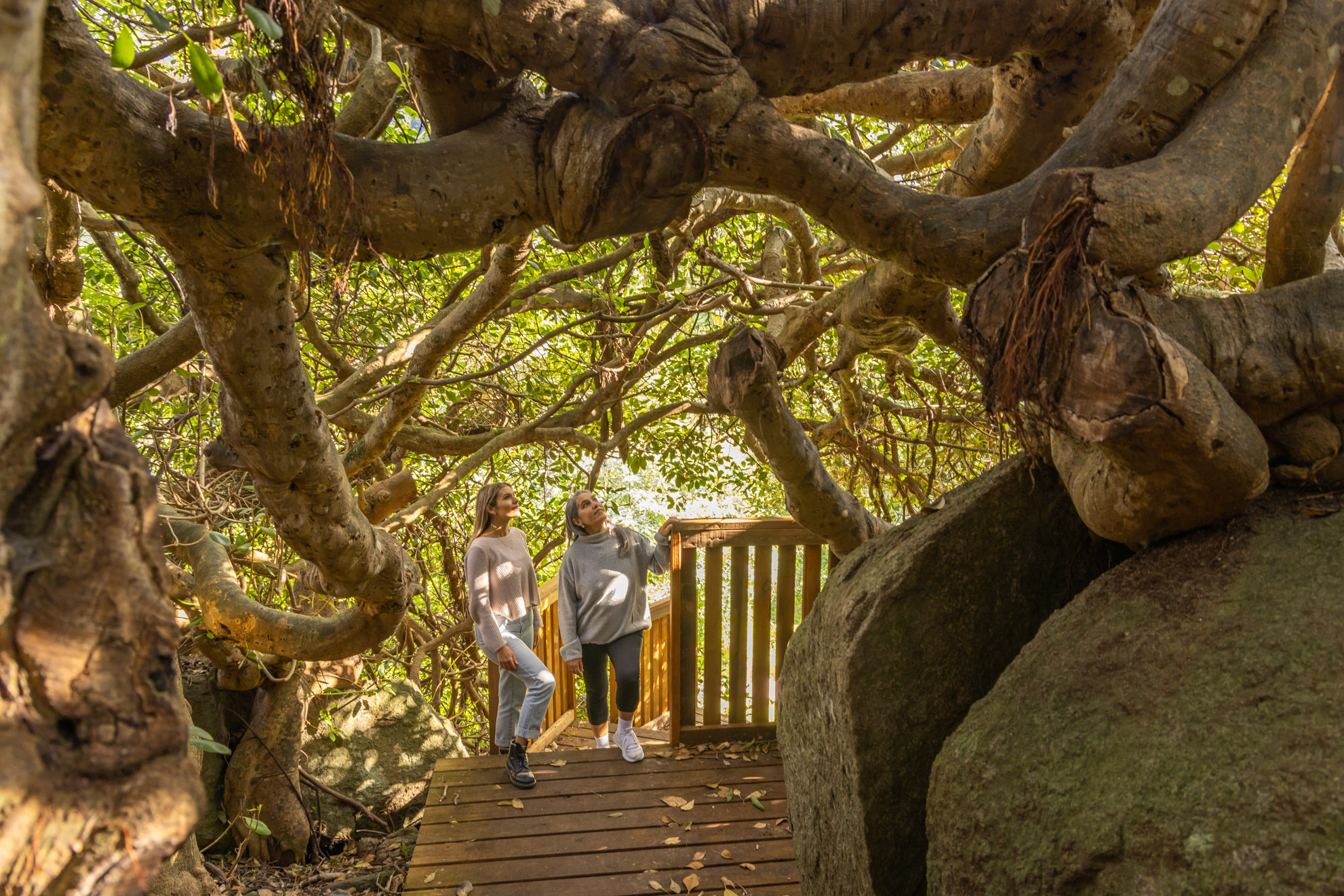 SELF GUIDED E-BIKE TOUR - PEDAL TO PRODUCE SERIES - NAROOMA TO TILBA VALLEY WINERY & ALE HOUSE VIA CENTRAL TILBA AND MYSTERY BAY  with return transfers