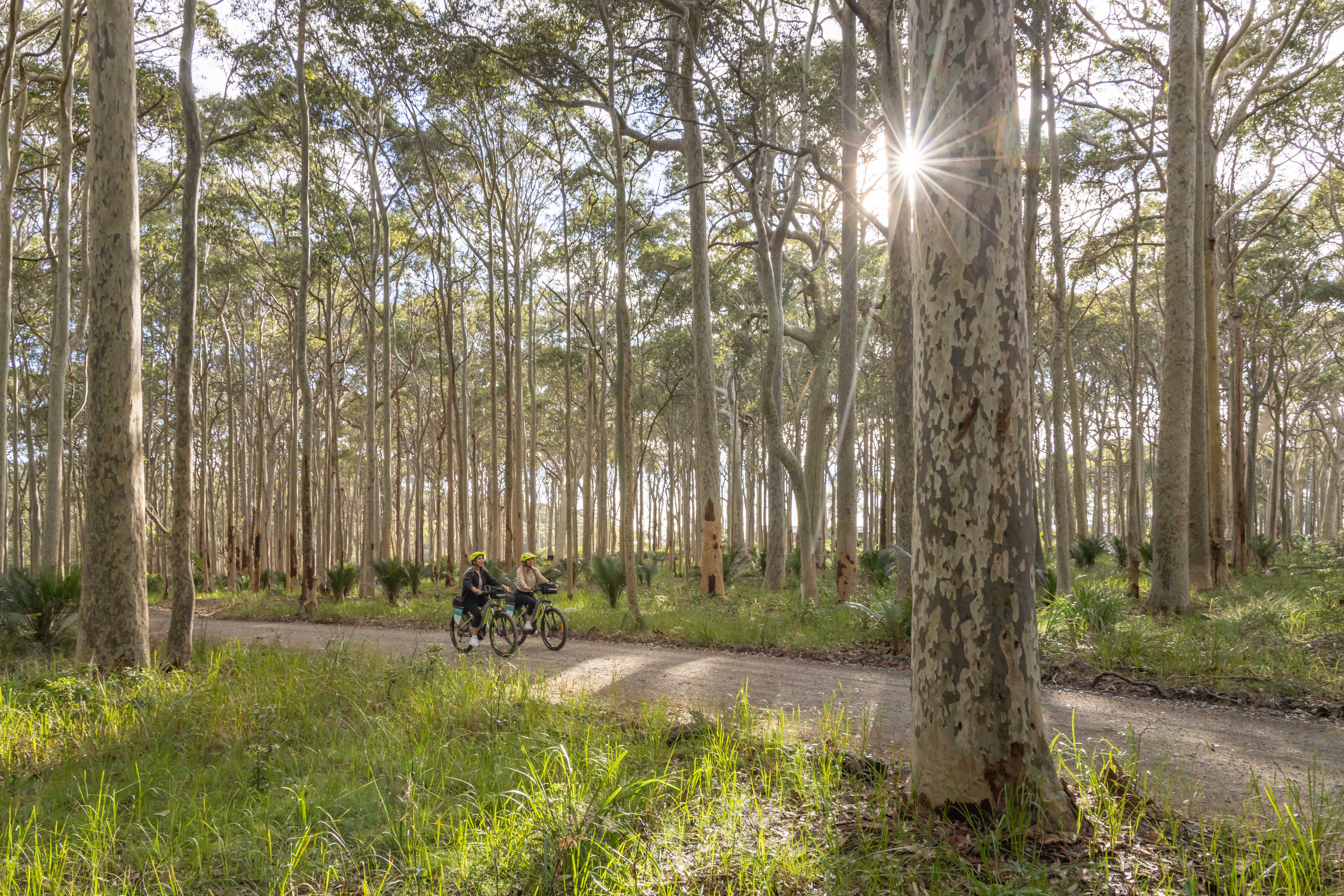 SELF GUIDED E-BIKE TOUR - PEDAL TO PRODUCE SERIES - NAROOMA TO DROMEDARY HOTE or SWEETWATER RESTAURANT, TILBA - E-Bike Hire with return transfers