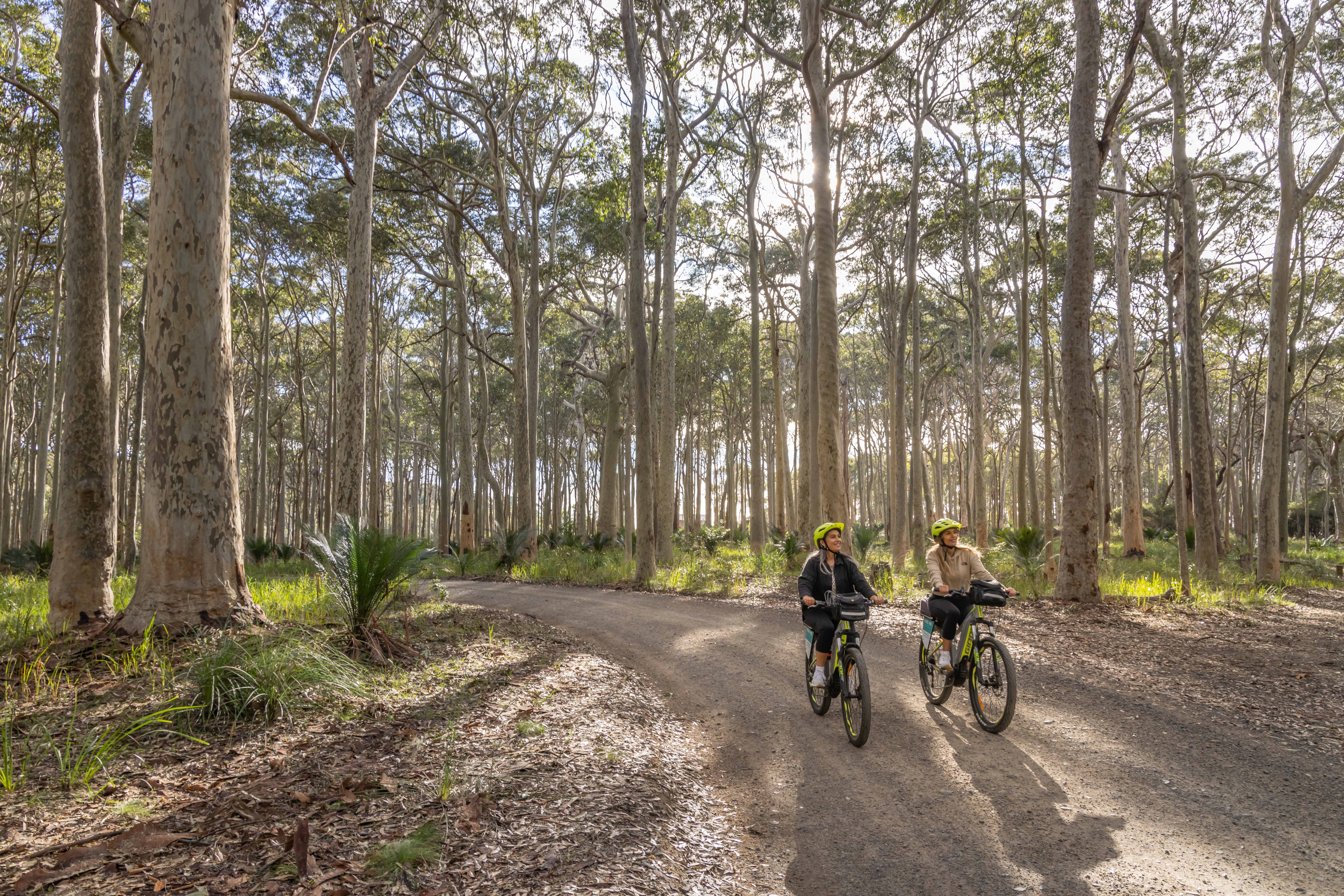 SELF GUIDED E-BIKE TOUR - PEDAL TO PRODUCE SERIES - NAROOMA TO TILBA VALLEY WINERY & ALE HOUSE VIA CENTRAL TILBA AND MYSTERY BAY  with return transfers
