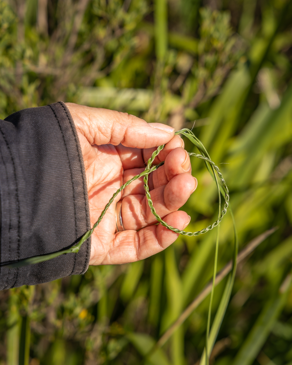 WELCOME TO COUNTRY - BUSH TUCKER & BUSH MEDICINE CULTURAL WALK WITH YUIN KNOWLEDGE HOLDER  FOLLOWED BY LUNCH AT THE PICKLED OCTOPUS RESTAURANT TUROSS HEAD