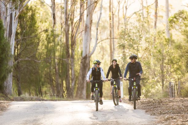 SELF GUIDED E-BIKE TOUR - PEDAL TO PRODUCE SERIES - NAROOMA TO DROMEDARY HOTEL,TILBA with Tilba Cheese and gin tasting  - E-Bike Hire with return transfers