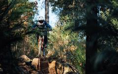  MOGO TRAILS - MOGO HILL  SHUTTLES - 6 Hour