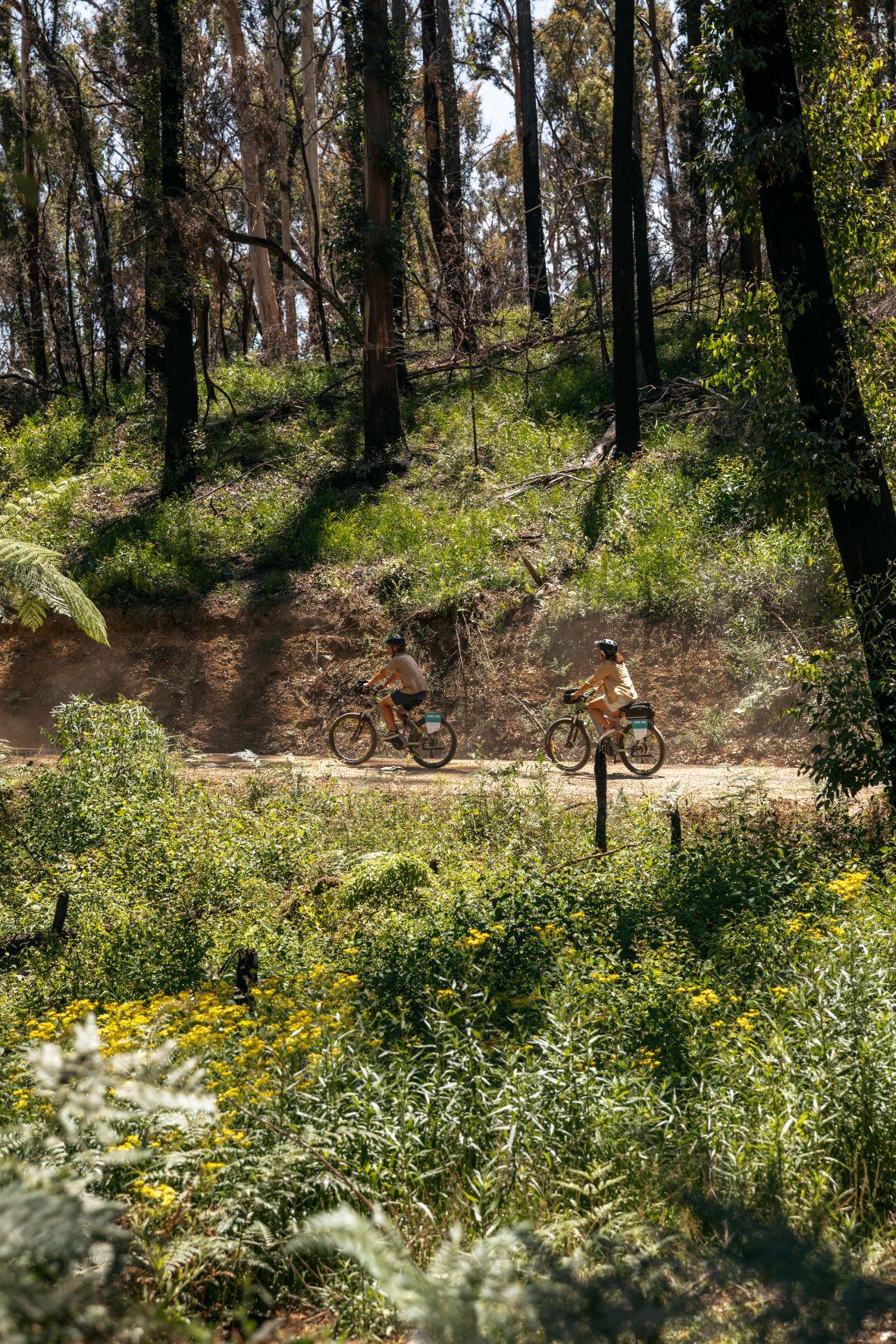 SELF GUIDED E-BIKE TOUR - PEDAL TO PRODUCE SERIES - WAGONGA WILDERNESS LOOP- 4 Hour E-Bike Hire with local produce picnic