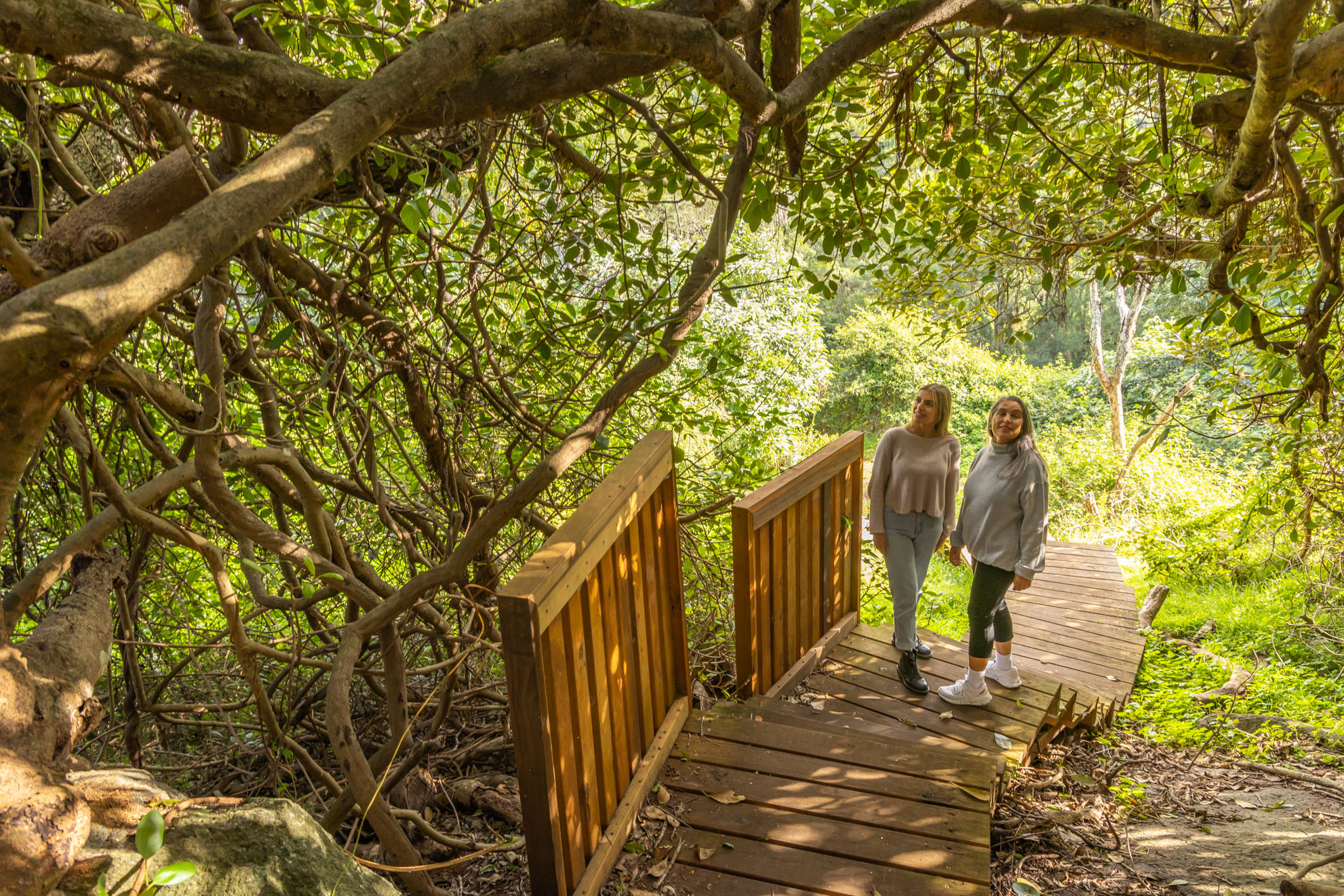SELF GUIDED E-BIKE TOUR - PEDAL TO PRODUCE SERIES - NAROOMA TO TILBA VALLEY WINERY & ALE HOUSE VIA CENTRAL TILBA AND MYSTERY BAY  with return transfers