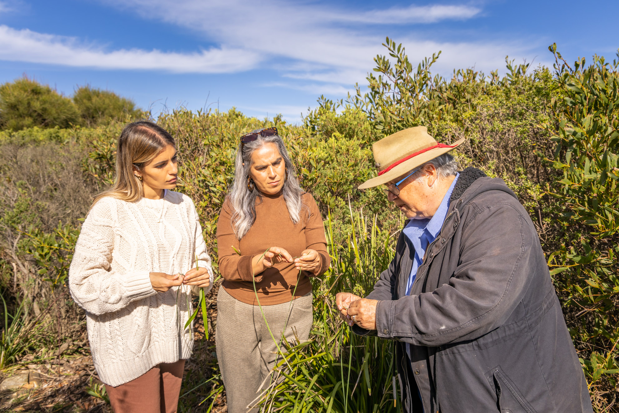 WELCOME TO COUNTRY - BUSH TUCKER & BUSH MEDICINE CULTURAL WALK WITH YUIN KNOWLEDGE HOLDER
