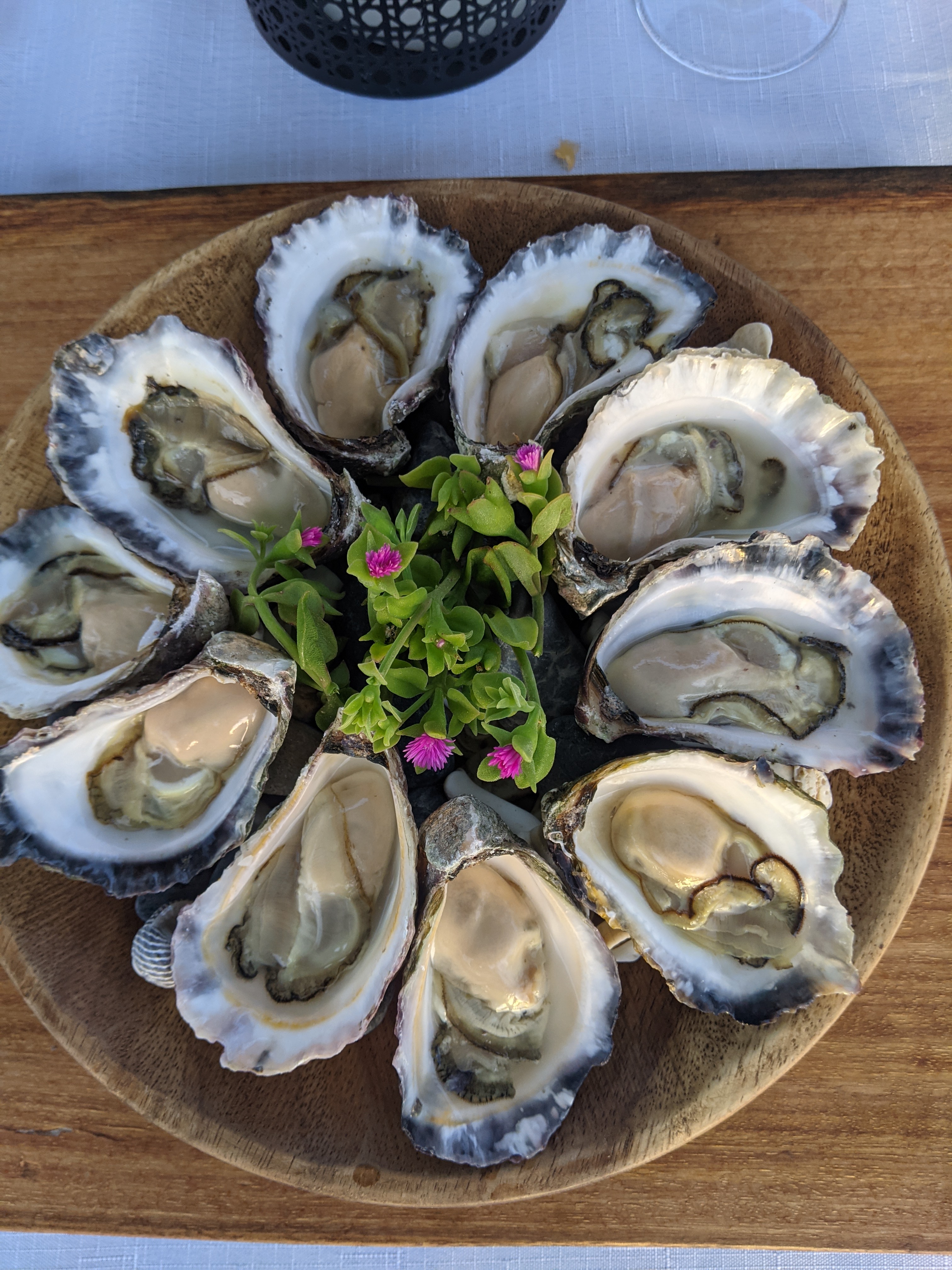 SOUTHBOUND ESCAPES - Private Tour - WEDDING TRAIL - VIP tour of the areas unique wedding venues and meet key wedding suppliers