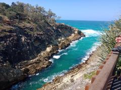 T9-North Straddie Art and Culture + Wildlife Discovery Tour