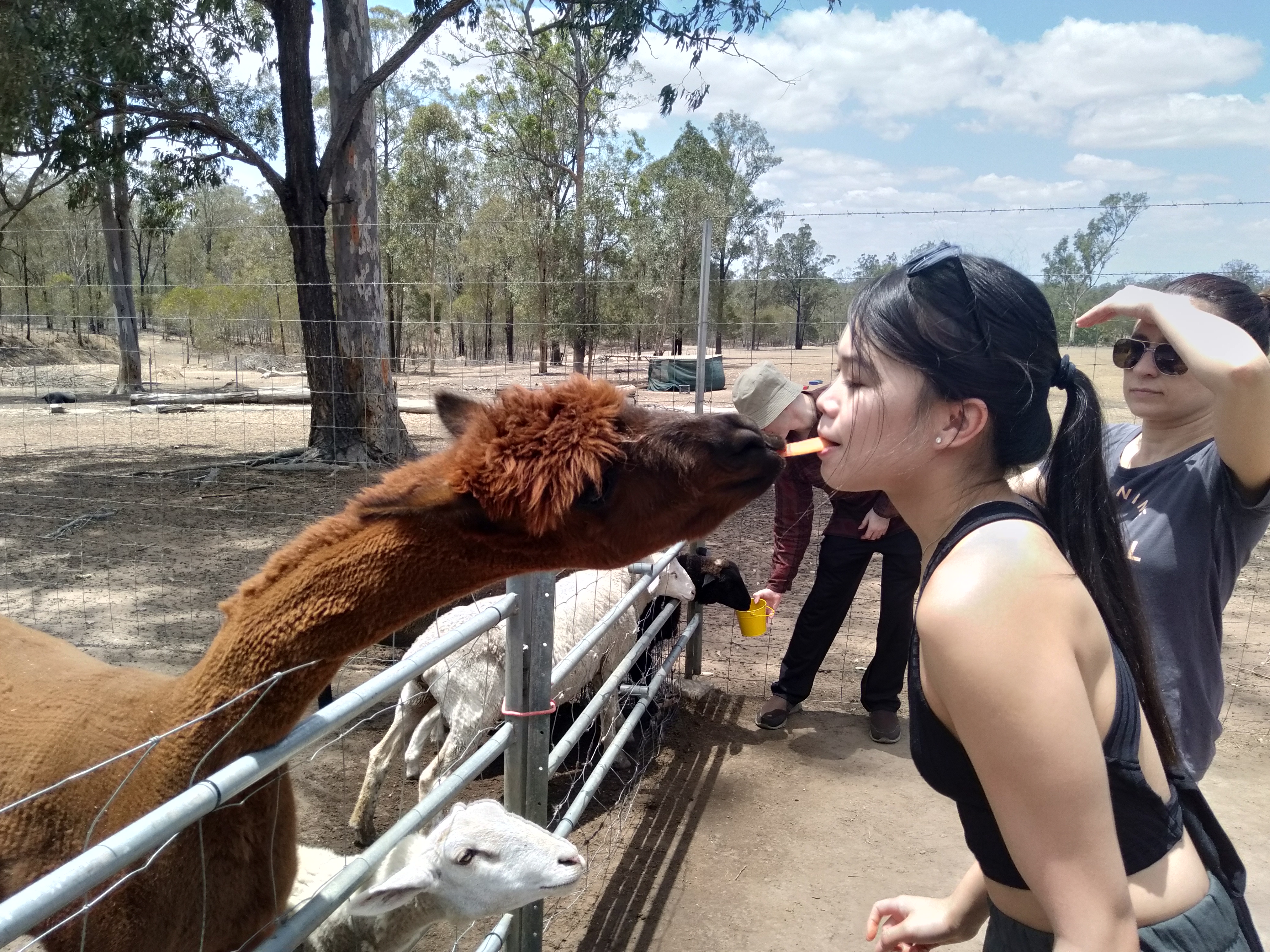 Japanese Students /  【ブリスベンへ留学】アドベンチャー・デイトリップで留学を充実させよう
