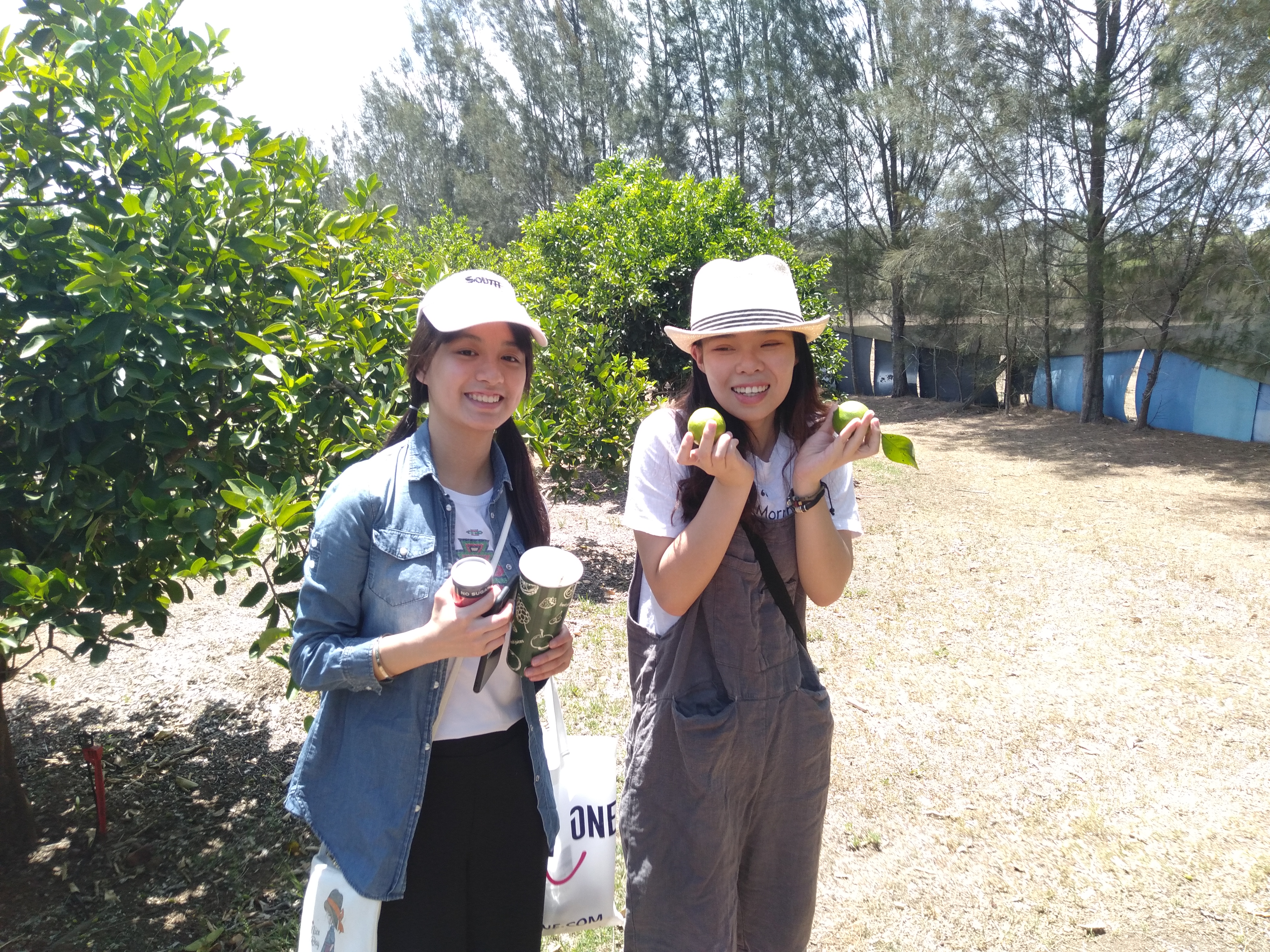 Japanese Students /  【ブリスベンへ留学】アドベンチャー・デイトリップで留学を充実させよう