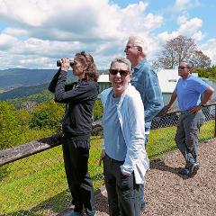 Sunshine Coast Hinterland Scenic View Private Tour (9+ hours)