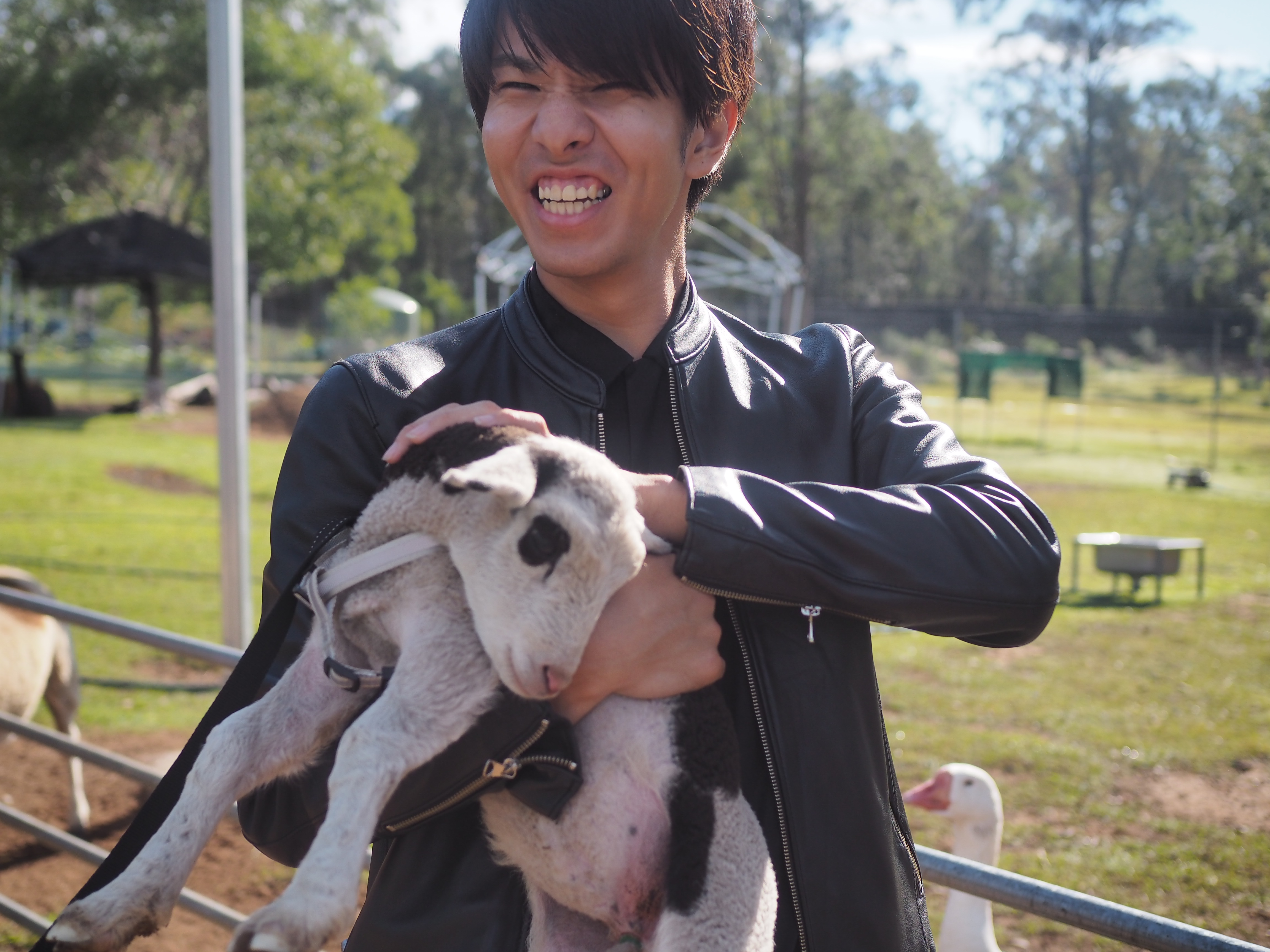 Japanese Students /  【ブリスベンへ留学】アドベンチャー・デイトリップで留学を充実させよう