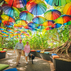 Sunshine Coast Hinterland Private Tour - Ginger Factory, Nutworks Chocolates Factory & Montville 