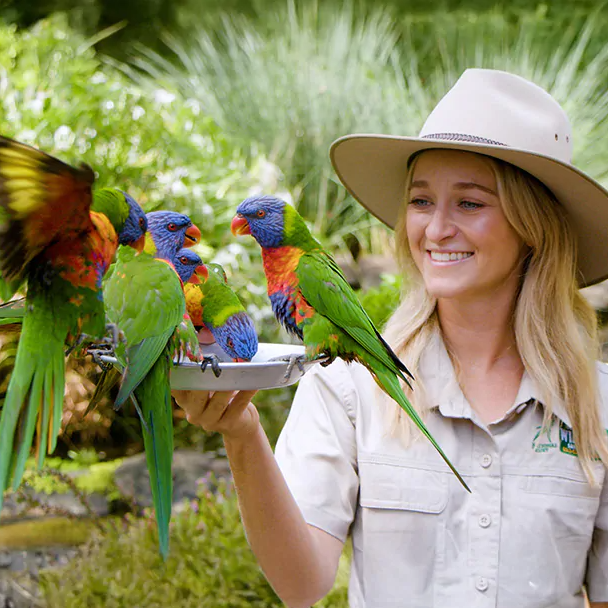 Currumbin Wildlife Sanctuary Entry Tickets