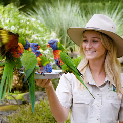 Currumbin Wildlife Sanctuary Entry Tickets