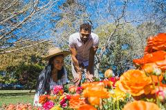 2026 Toowoomba Carnival of Flowers - Stunning Gardens and Colorful Displays!