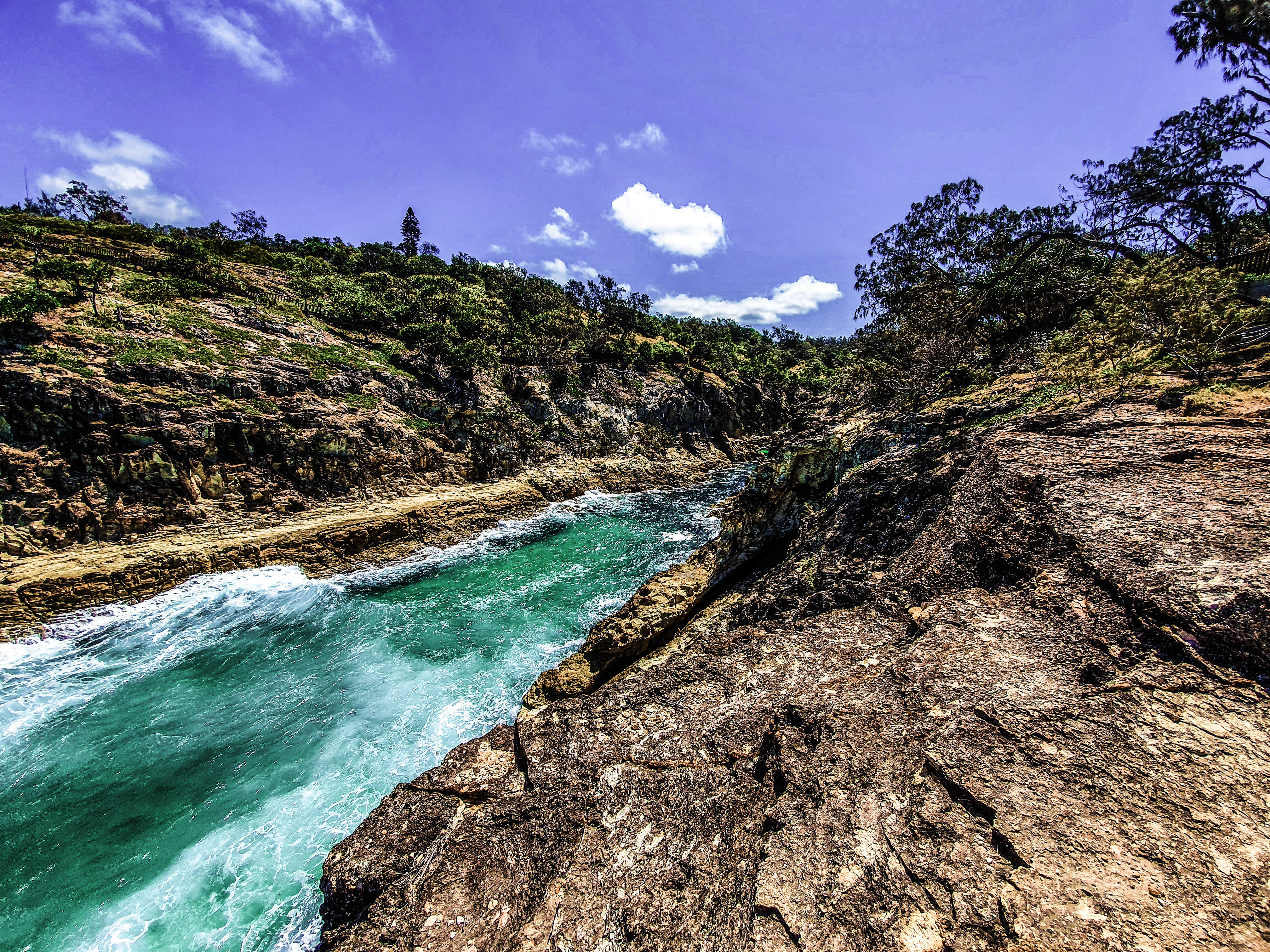 Japanese Students /  【ブリスベンへ留学】アドベンチャー・デイトリップで留学を充実させよう