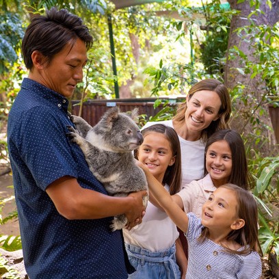 Gold Coast Currumbin Wildlife Sanctuary & Burleigh Heads Private Tours (8 hours)
