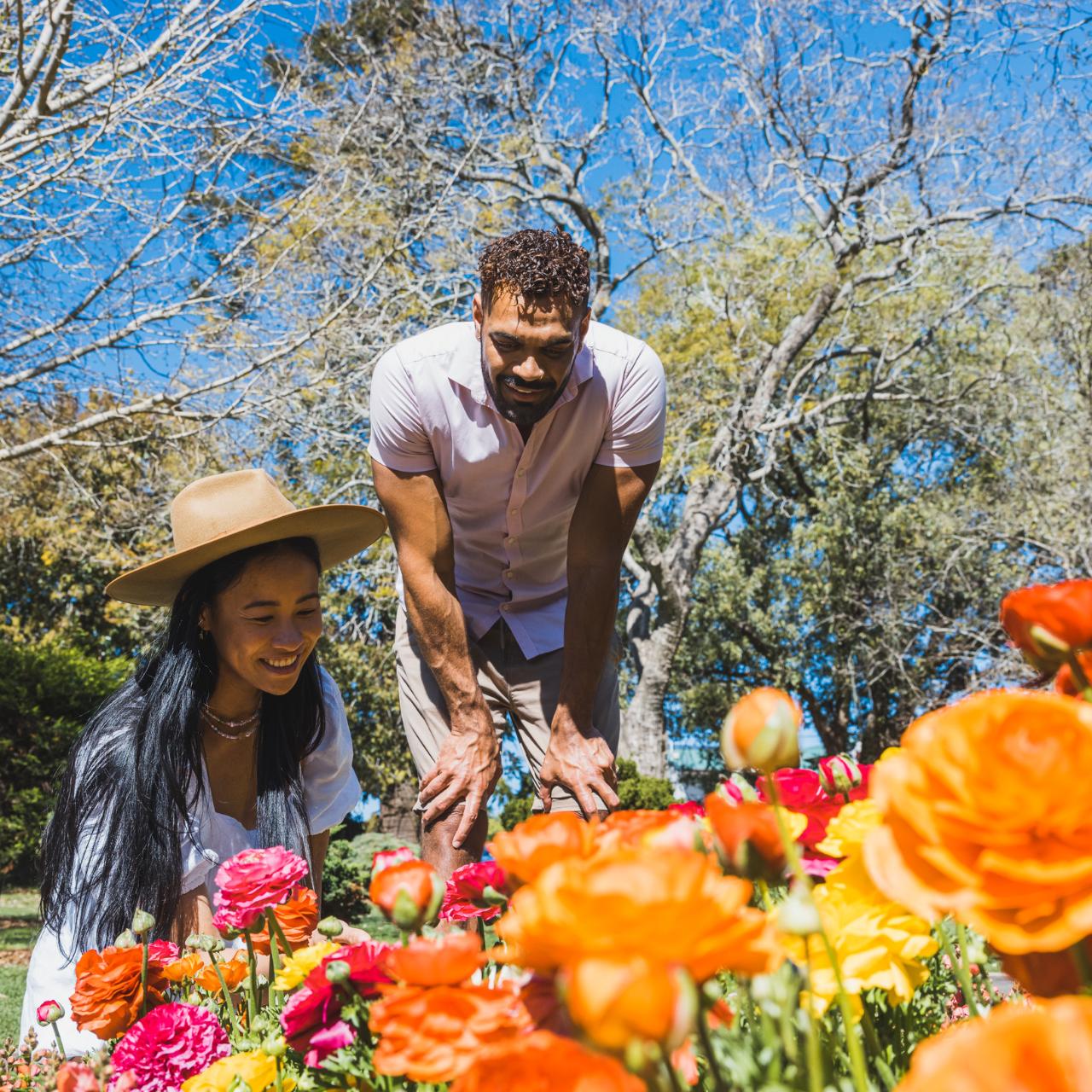 【NEW】Toowoomba Carnival of Flowers - Stunning Gardens and Colorful Displays!