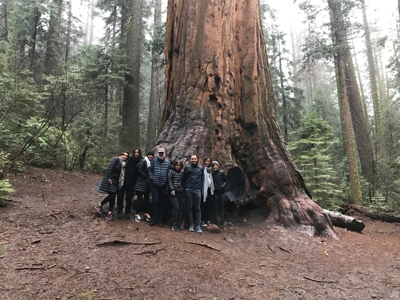 Giant Sequoia 3hr ATV Tour
