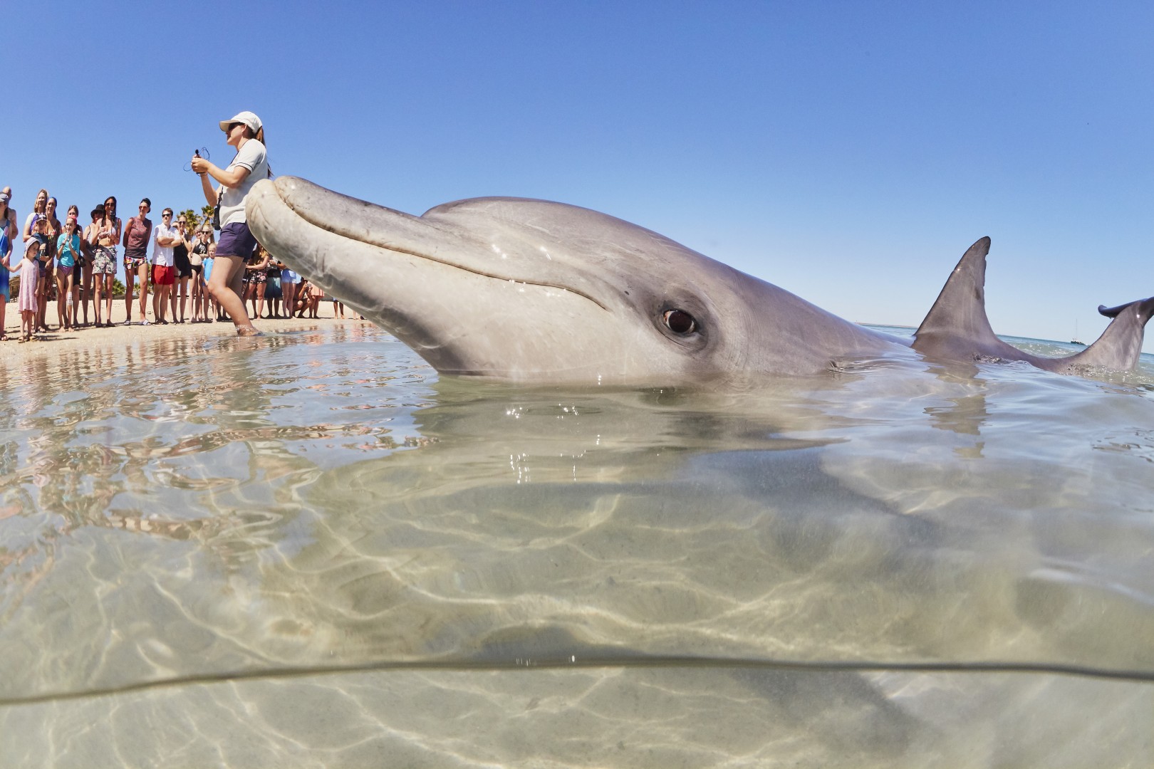Autopia Tours: 4 Day Perth to Monkey Mia Coastal Loop Comfort Tour (Shared Accommodation)