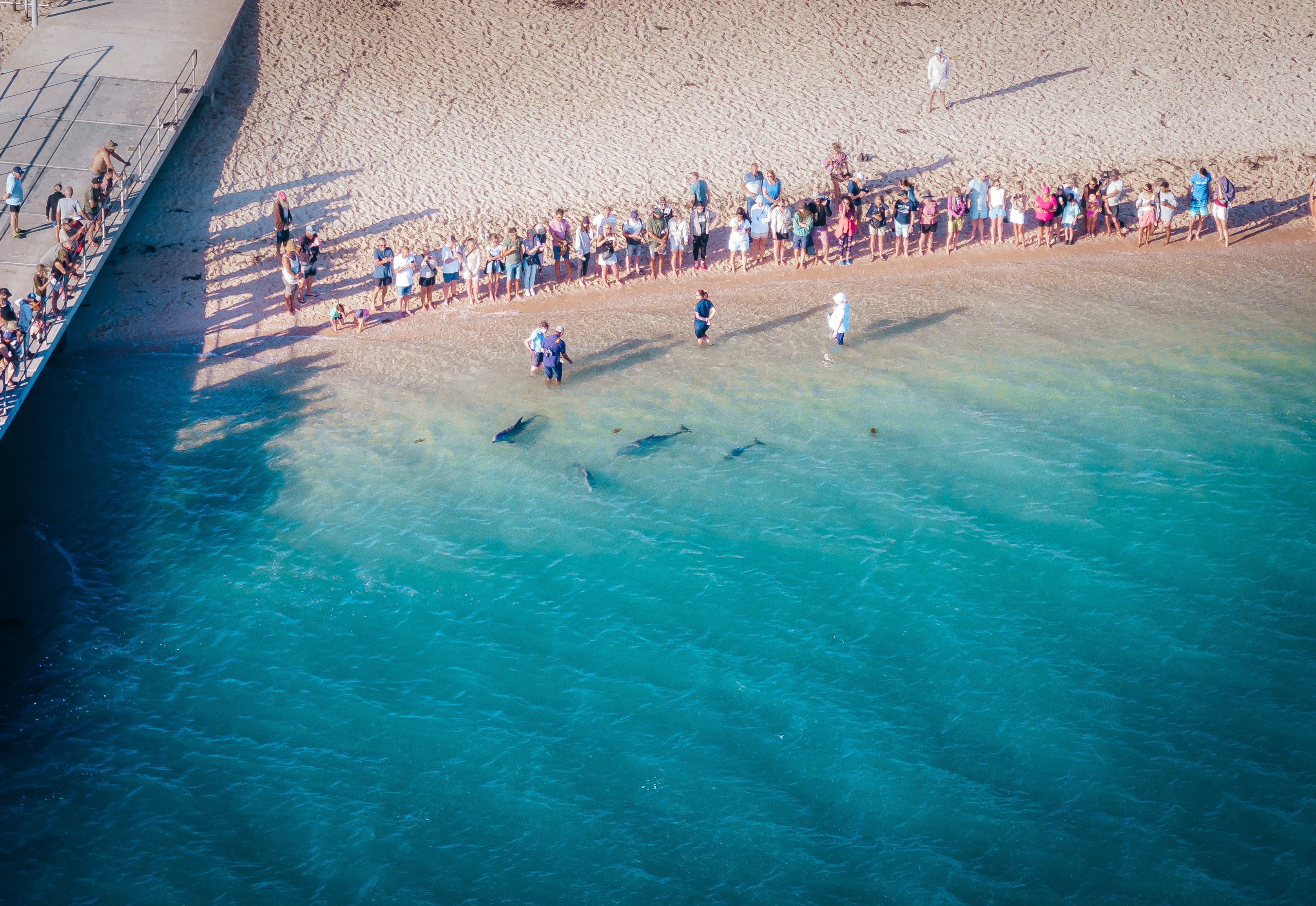 Autopia Tours / Via Travel: 8 Day Perth to Exmouth Ningaloo Reef Comfort Tour (Private Single)