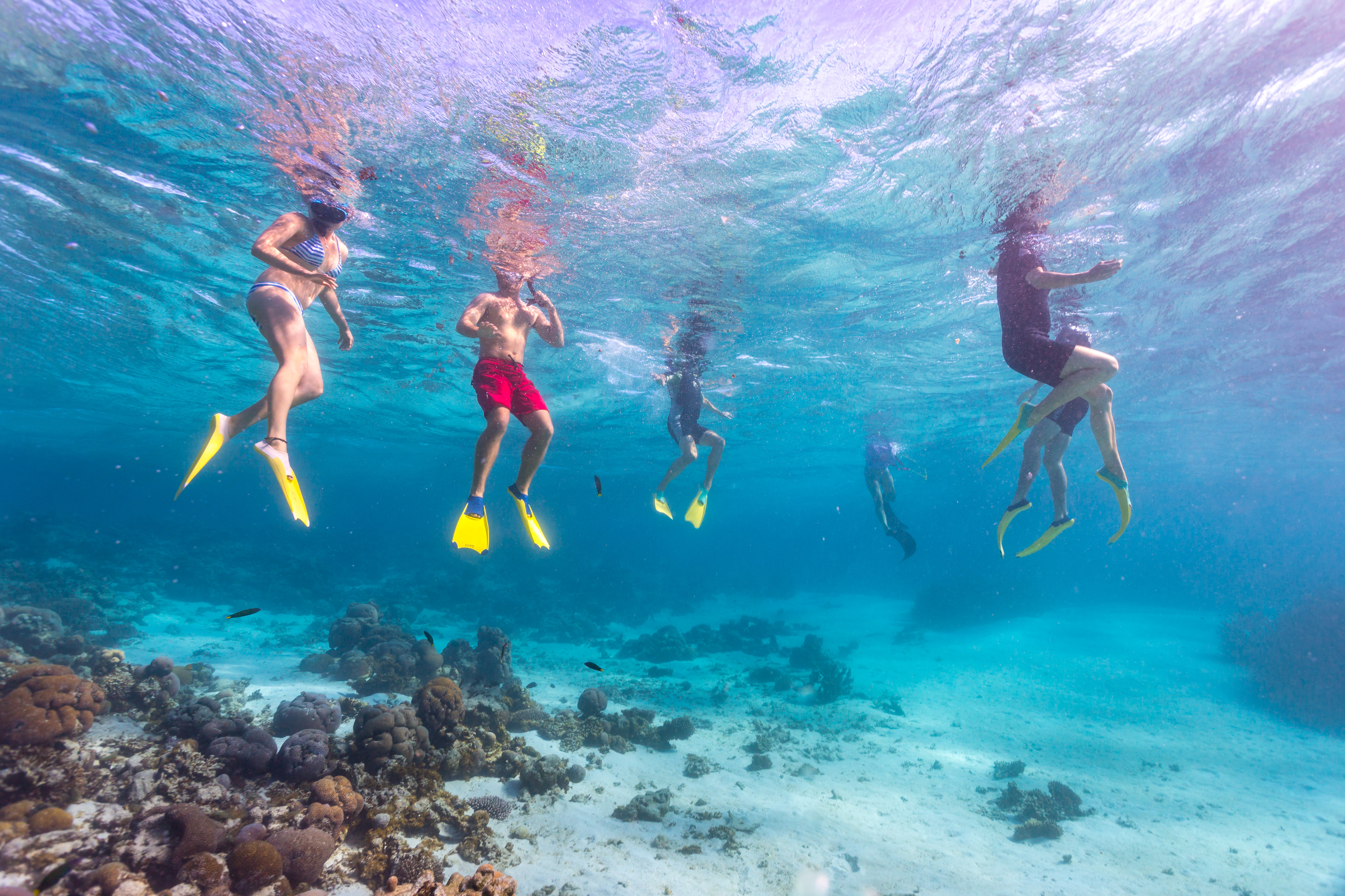 7-Day Perth to Exmouth Coral Coaster Tour (Private Single Room): Kalbarri | Monkey Mia | Coral Bay | Ningaloo Reef | Geraldton