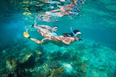 Autopia Tours: Perth to Exmouth 6 Day Coral Coaster Original Tour (Private Single Ensuite)